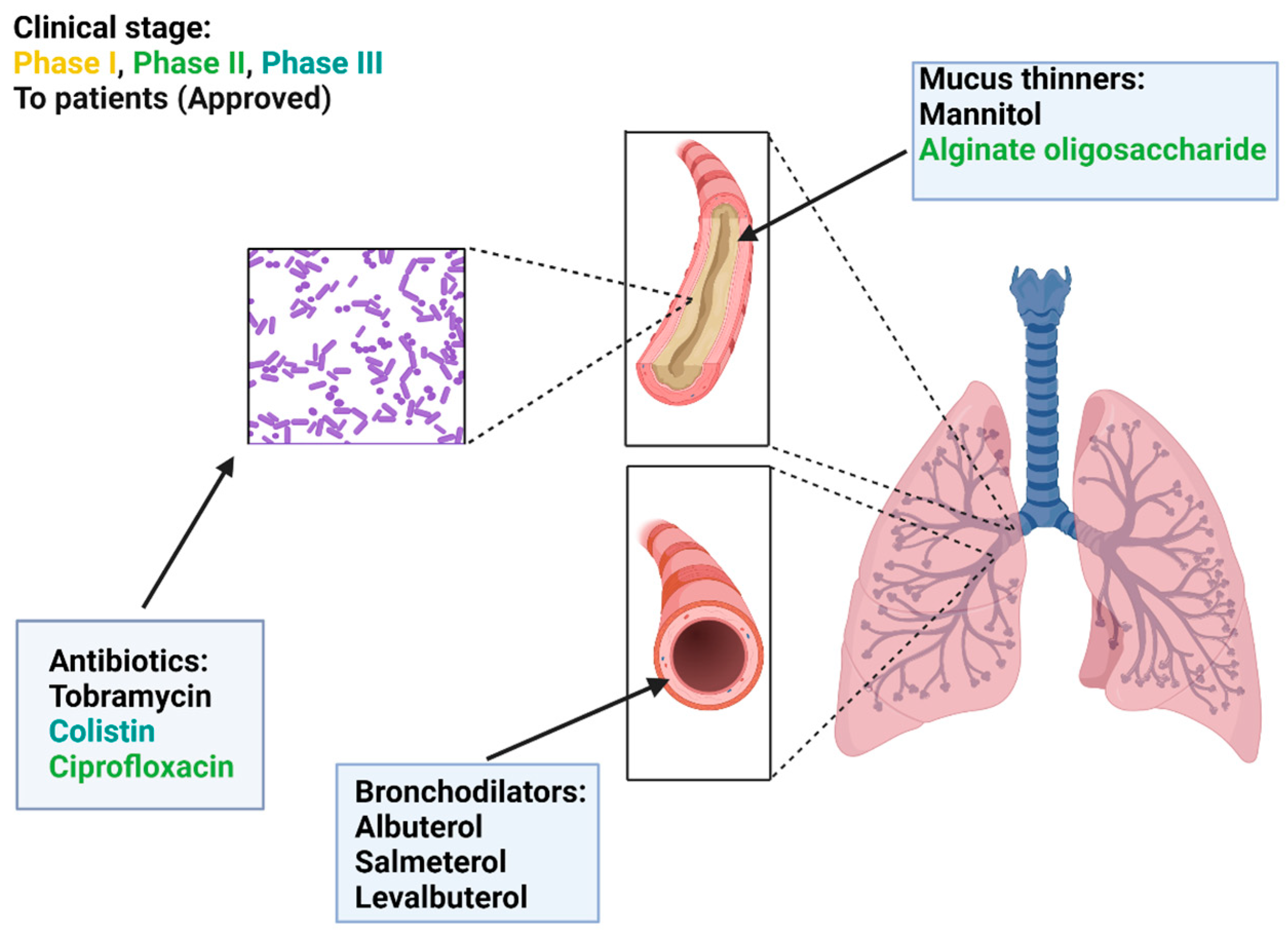 Pharmaceutics 15 01488 g005