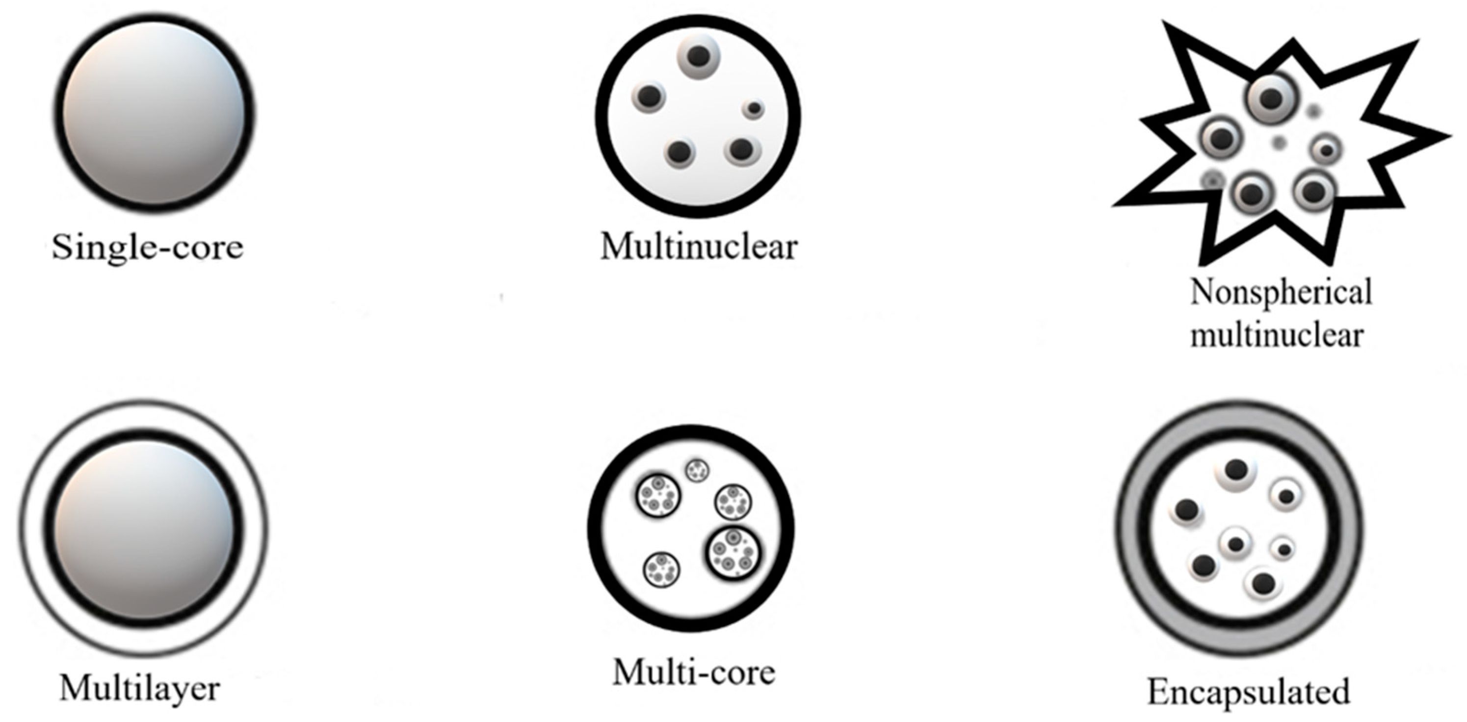Pharmaceutics 15 01490 g002