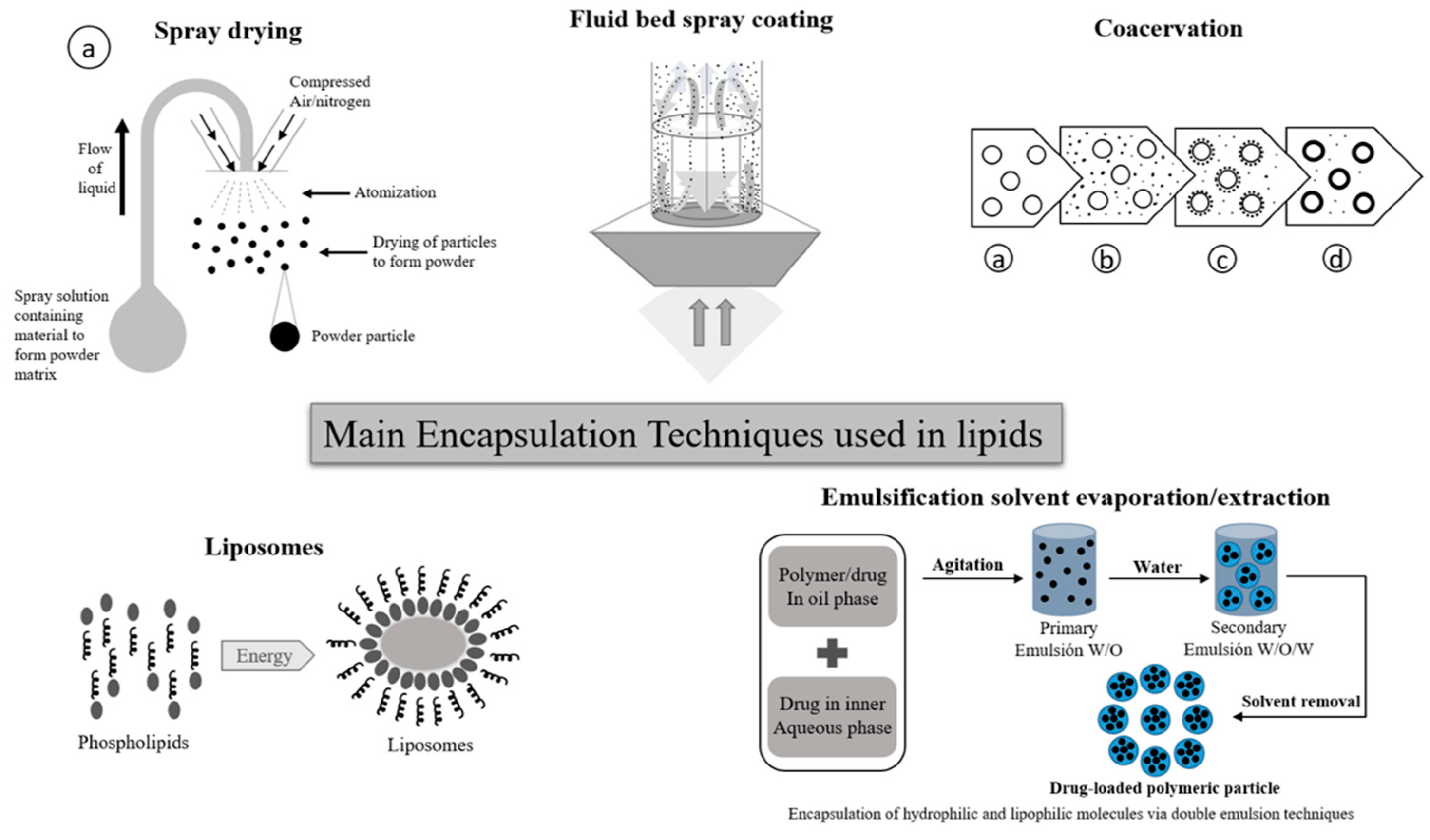 Pharmaceutics 15 01490 g003