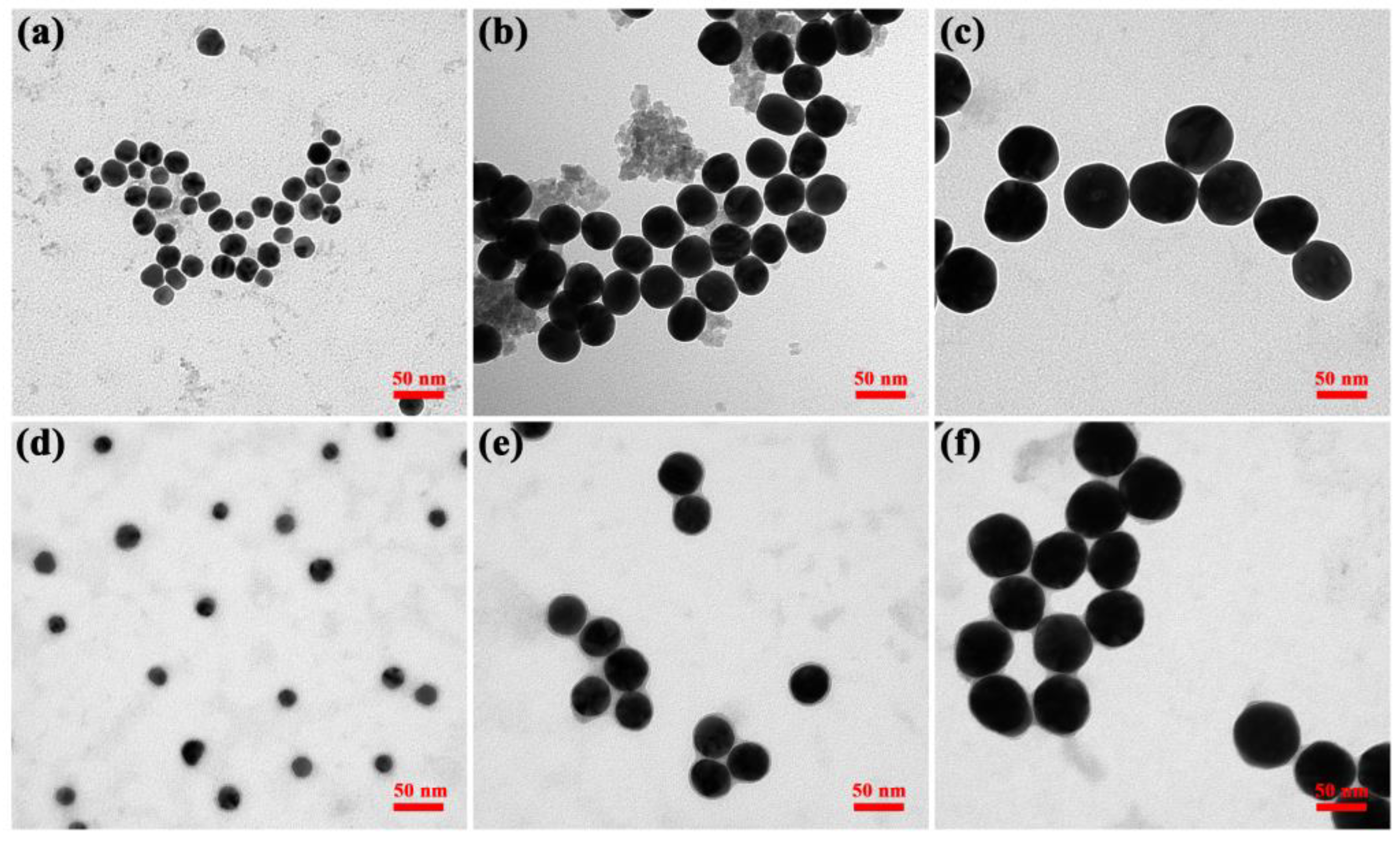 Pharmaceutics 15 01493 g006
