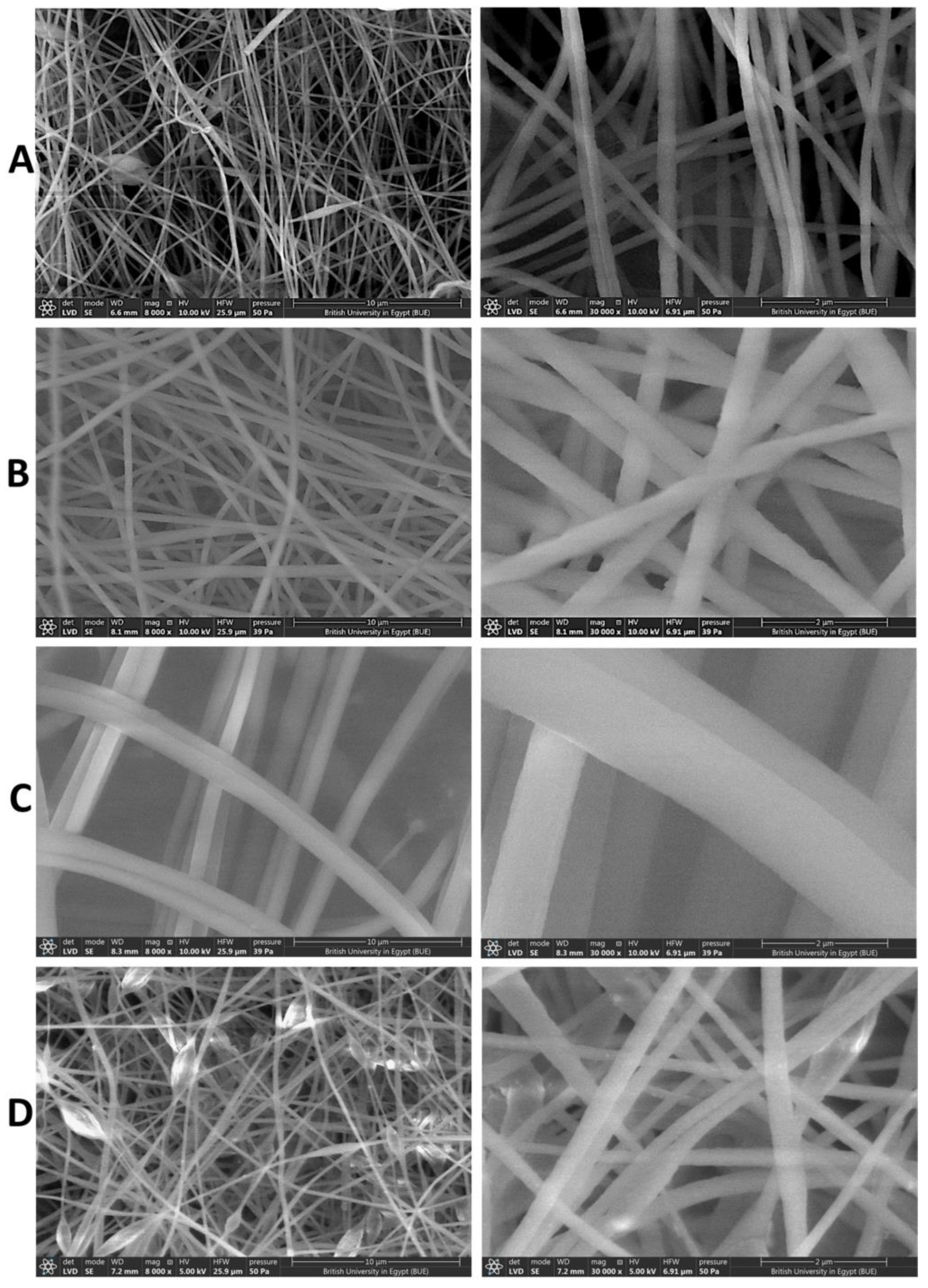 Pharmaceutics 15 01494 g002