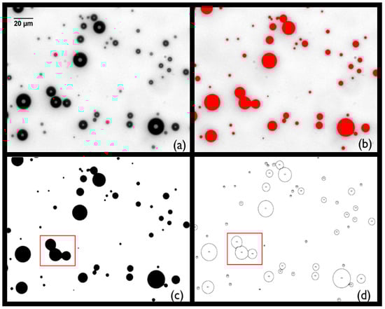 Pharmaceutics 15 01495 g0a1