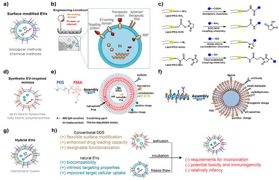 Pharmaceutics 15 01496 g002