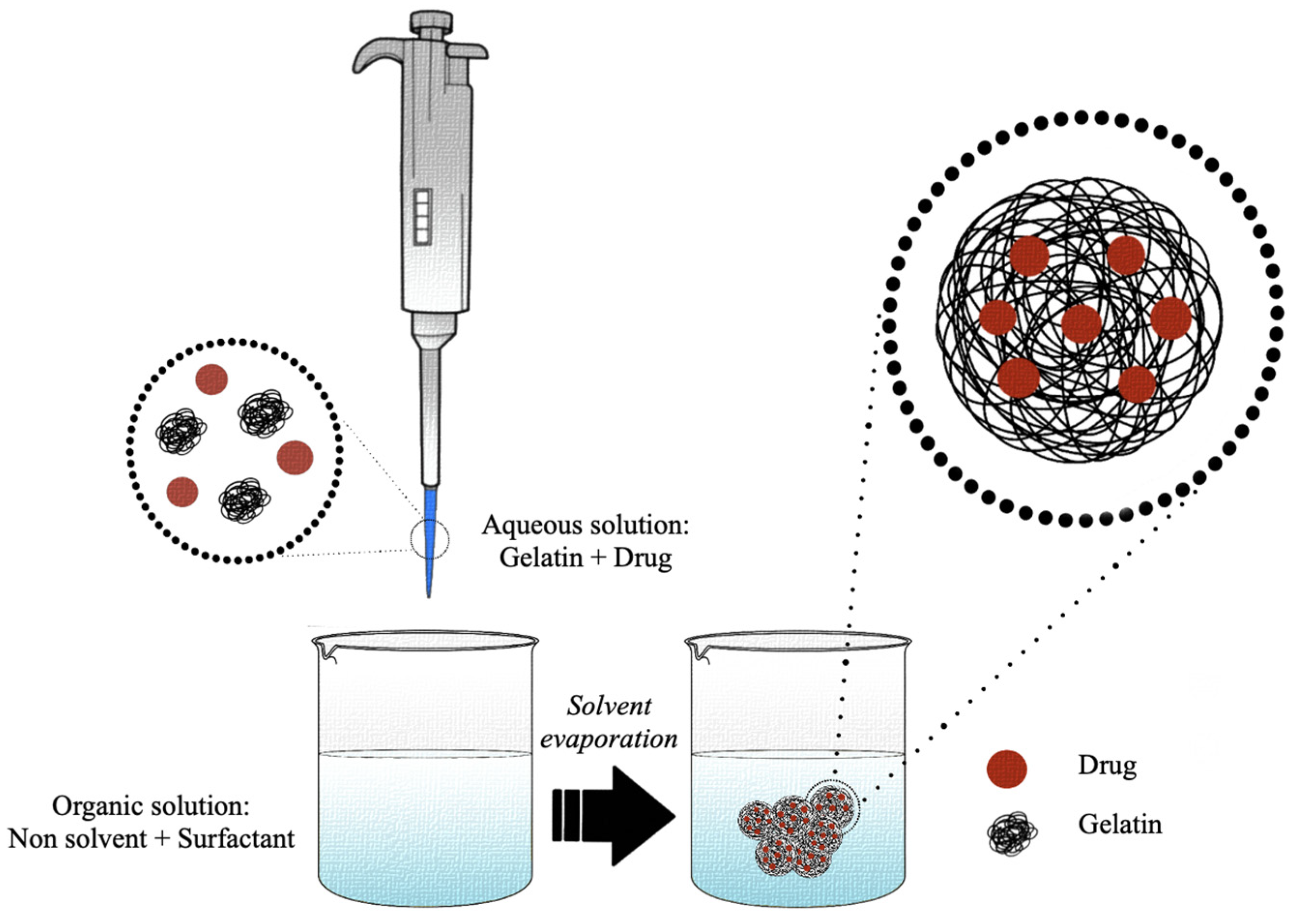 Pharmaceutics 15 01499 g006
