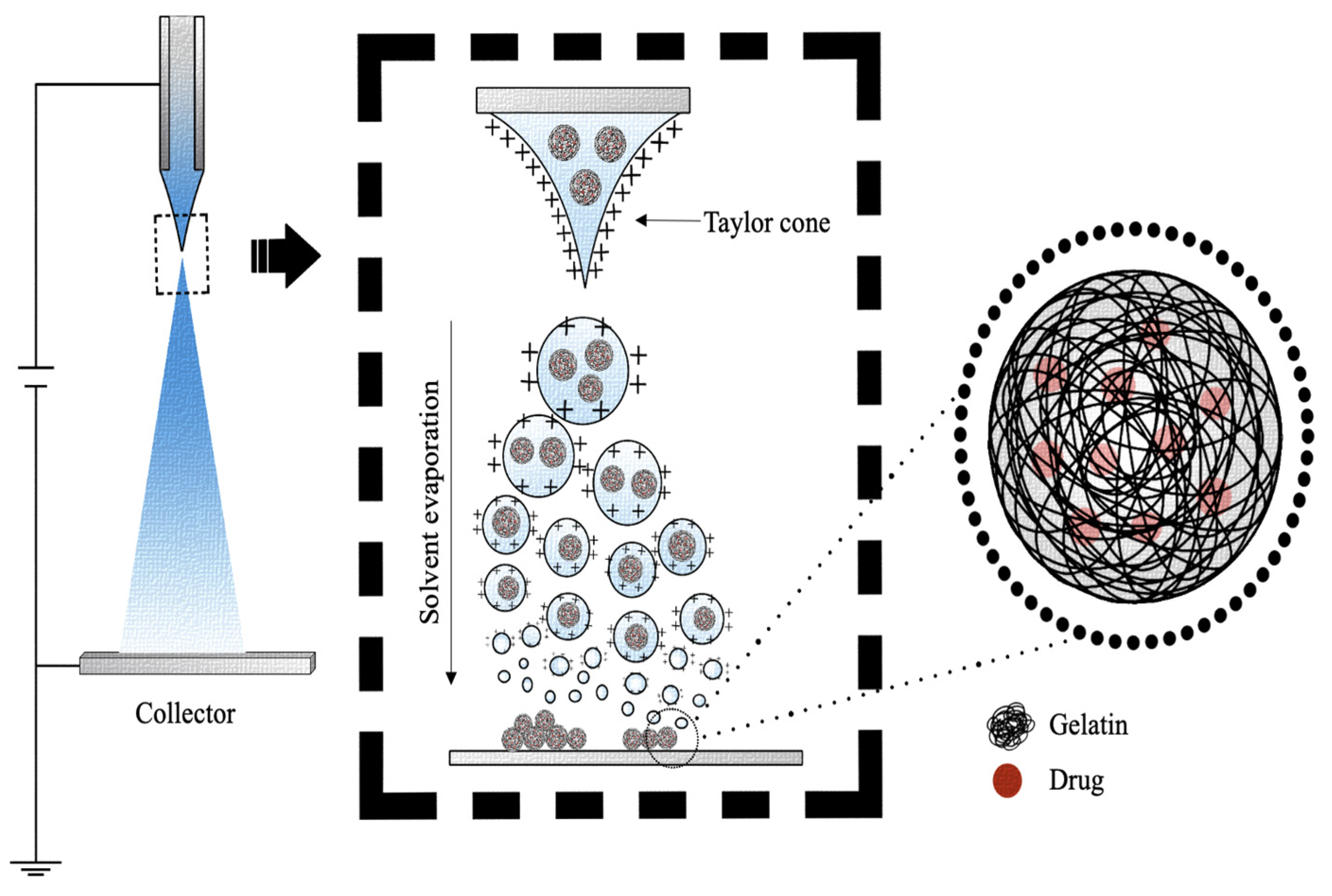 Pharmaceutics 15 01499 g010
