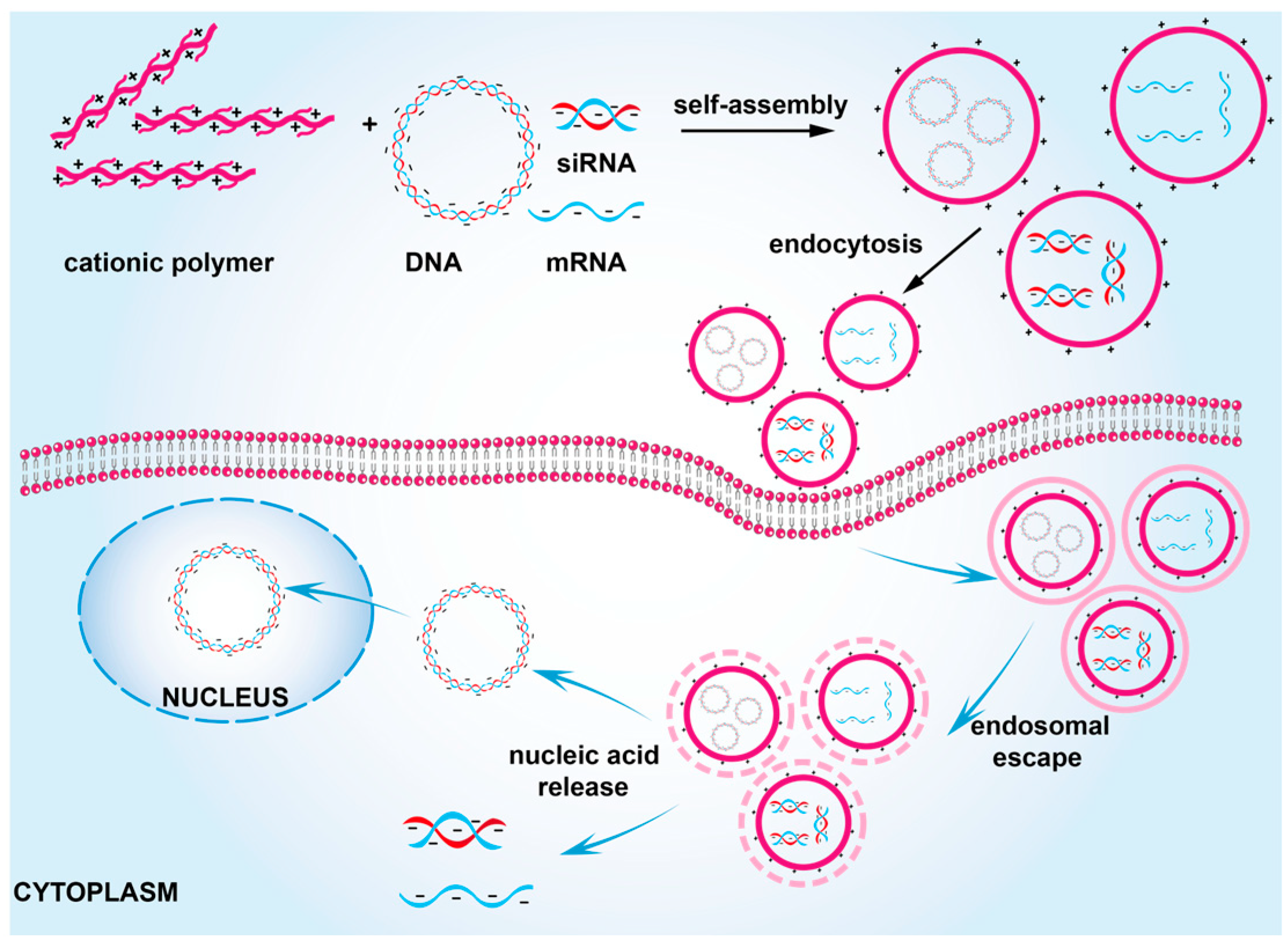 Pharmaceutics 15 01502 g001