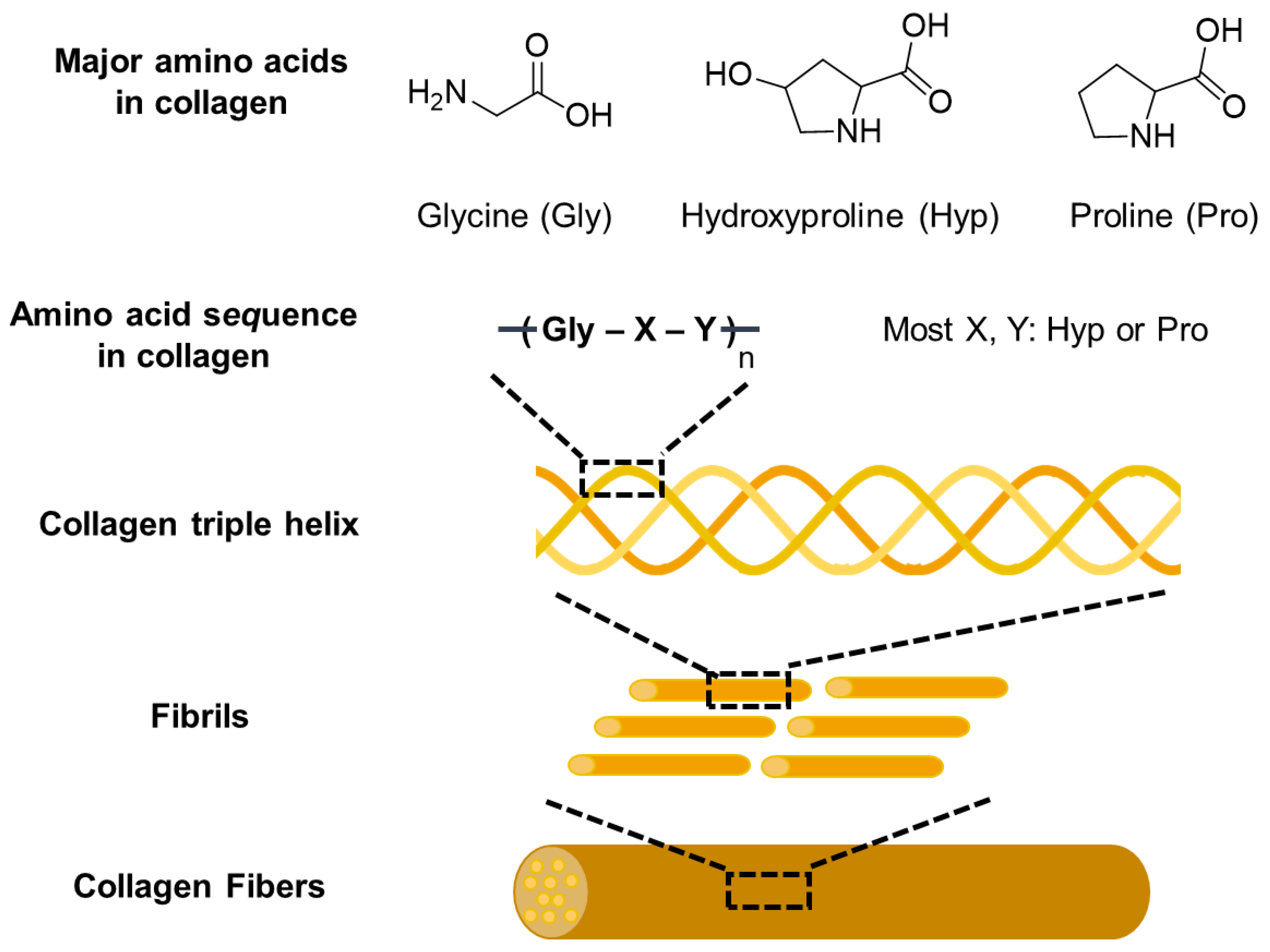 Pharmaceutics 15 01522 g002
