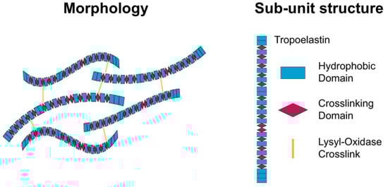 Pharmaceutics 15 01522 g004