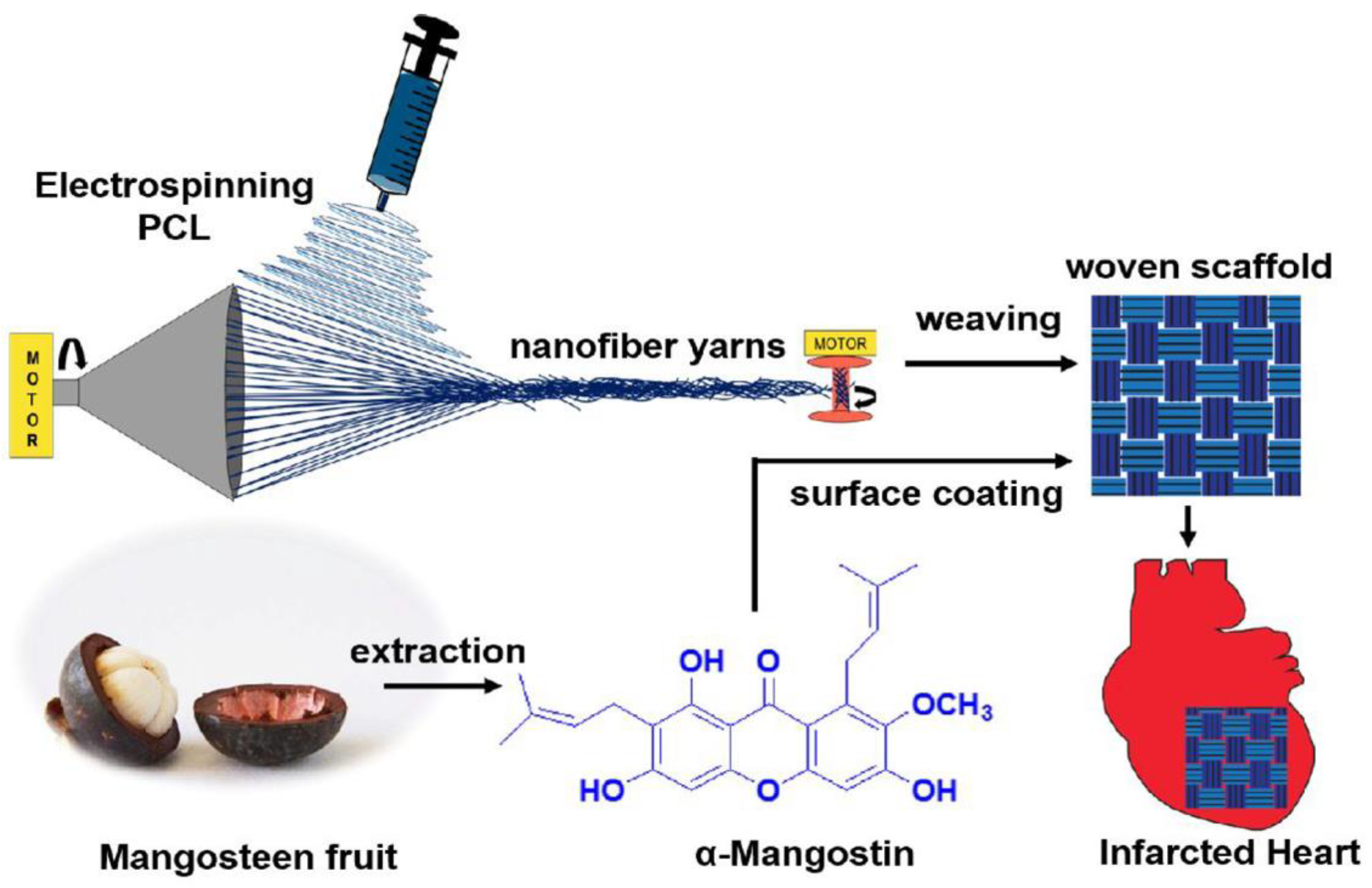 Pharmaceutics 15 01522 g010