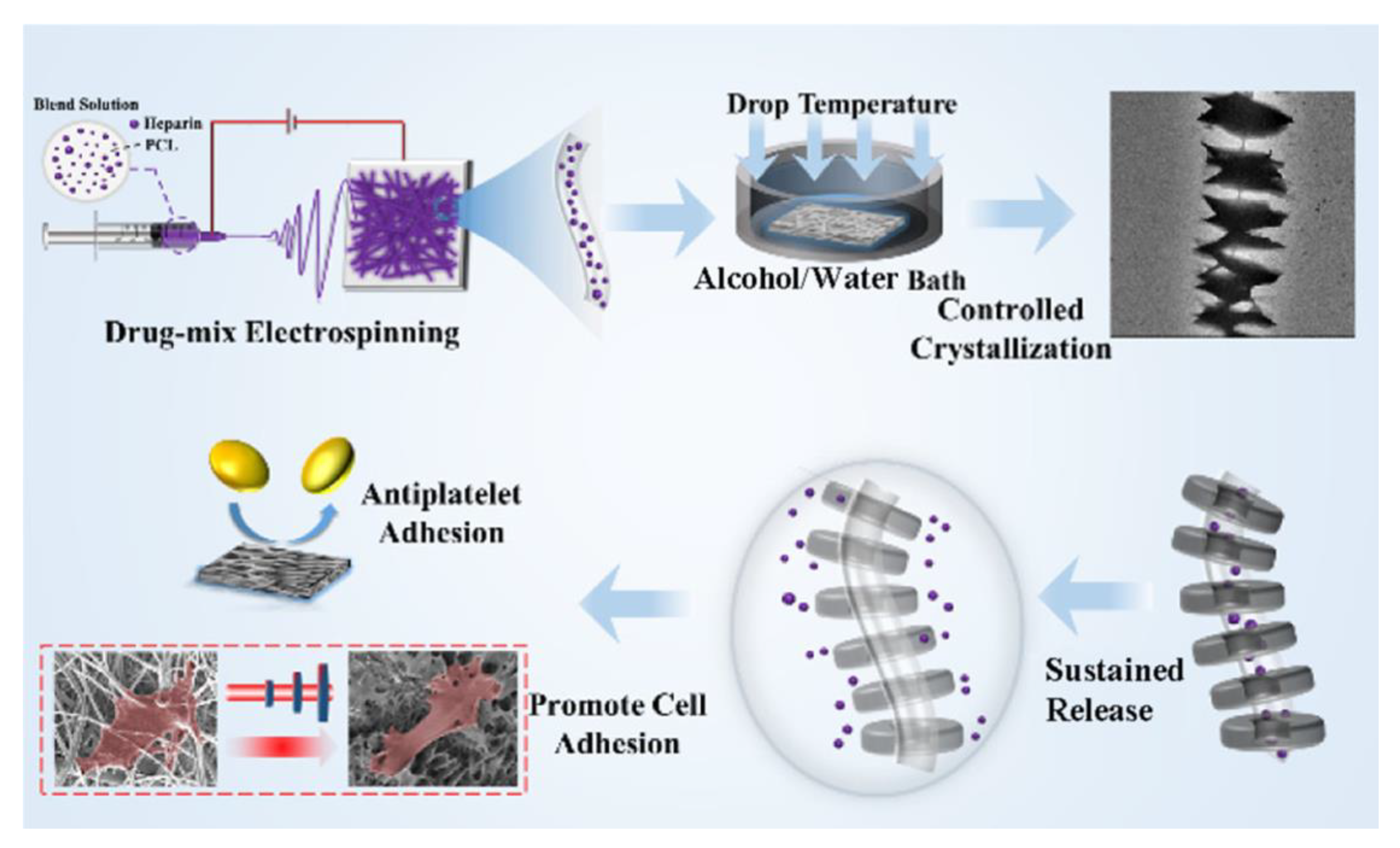 Pharmaceutics 15 01522 g011
