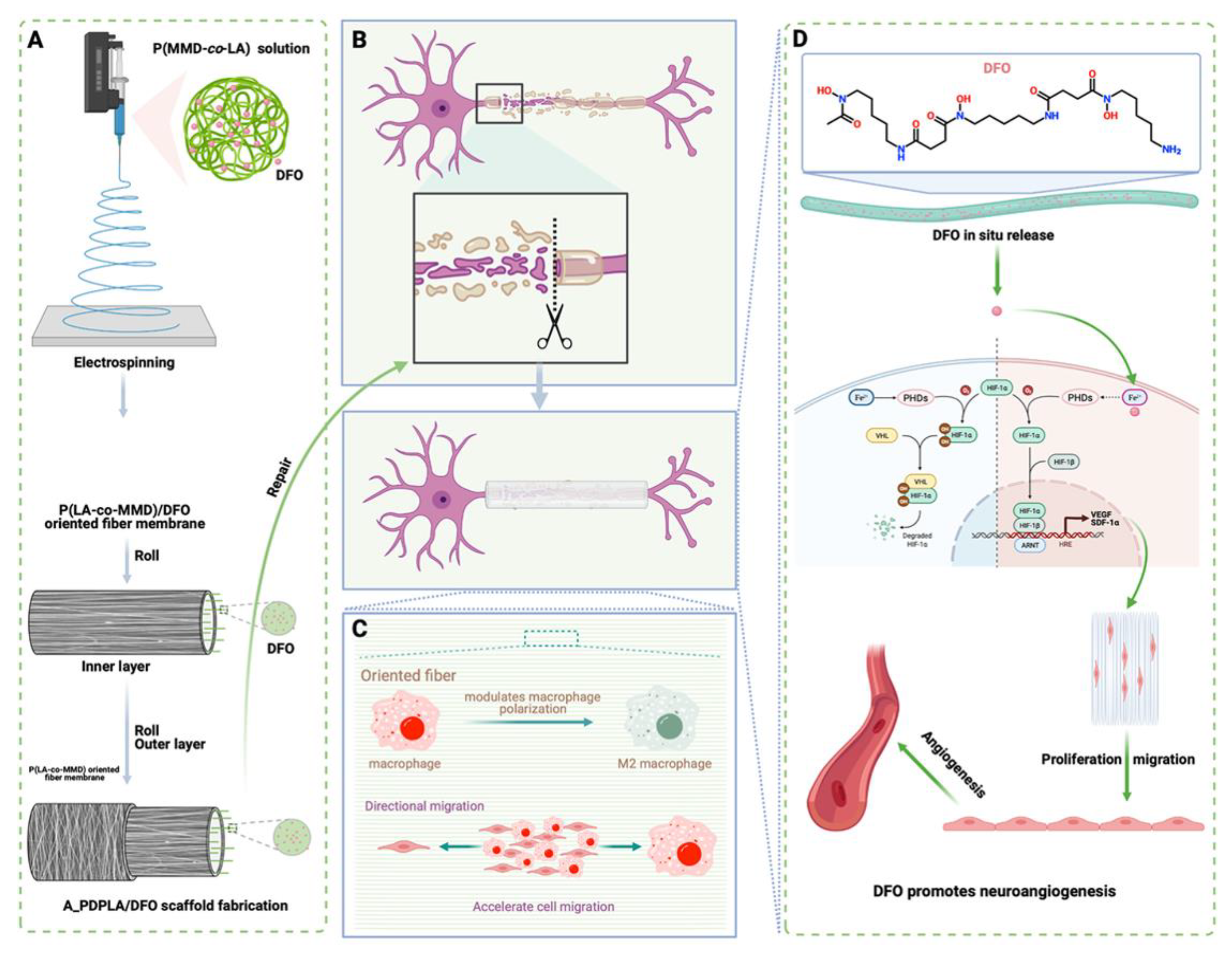 Pharmaceutics 15 01522 g012