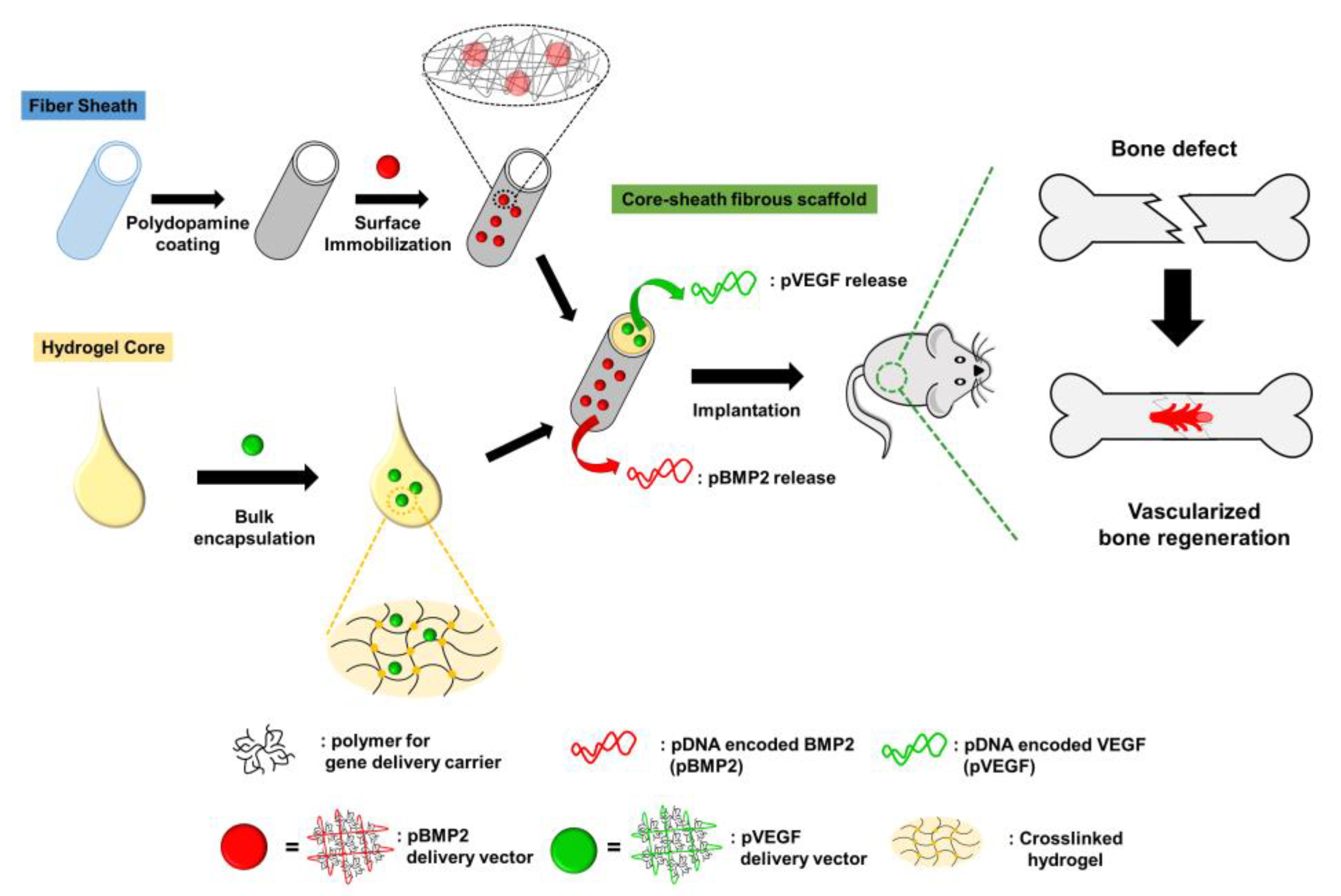 Pharmaceutics 15 01522 g016