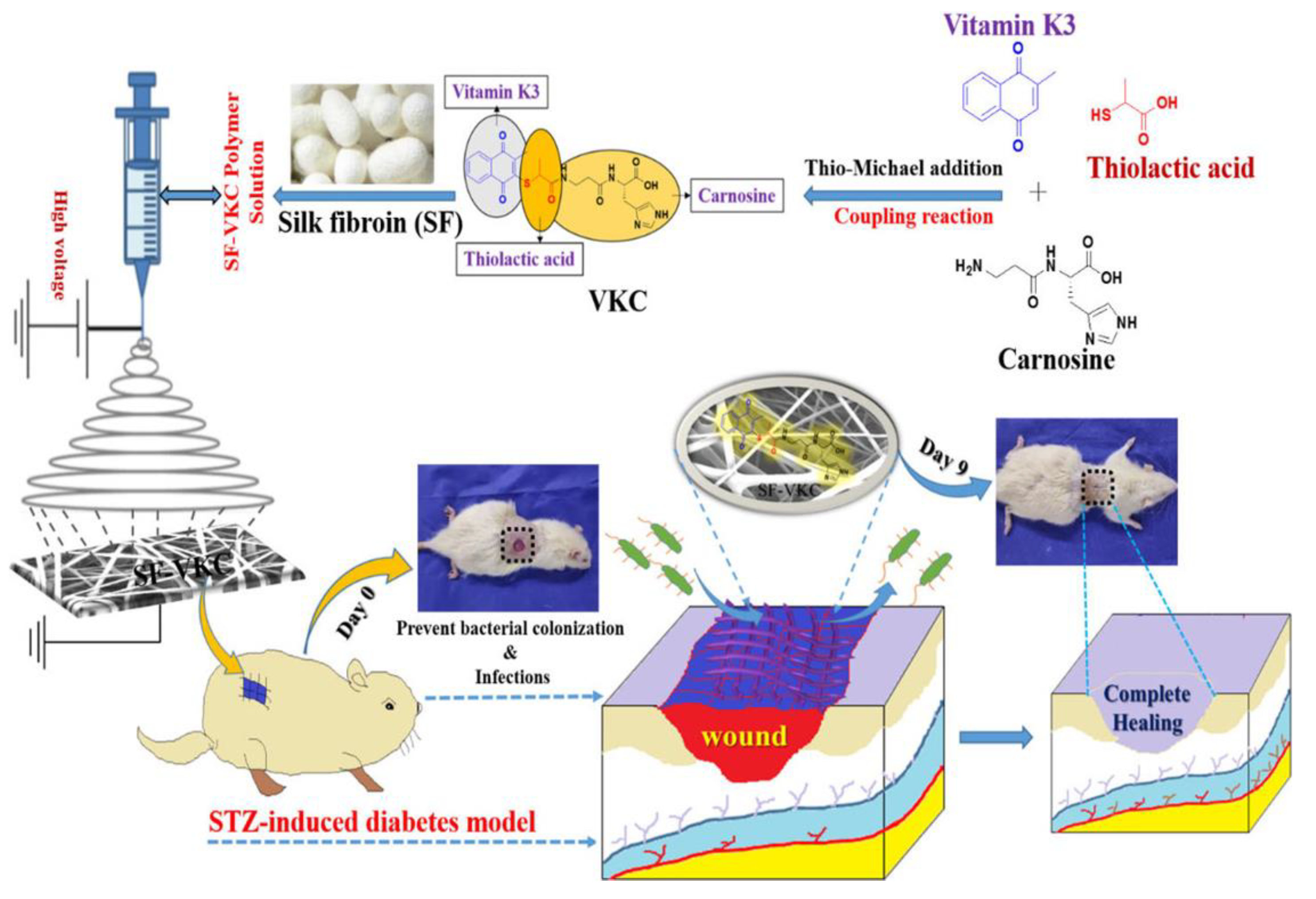Pharmaceutics 15 01522 g018