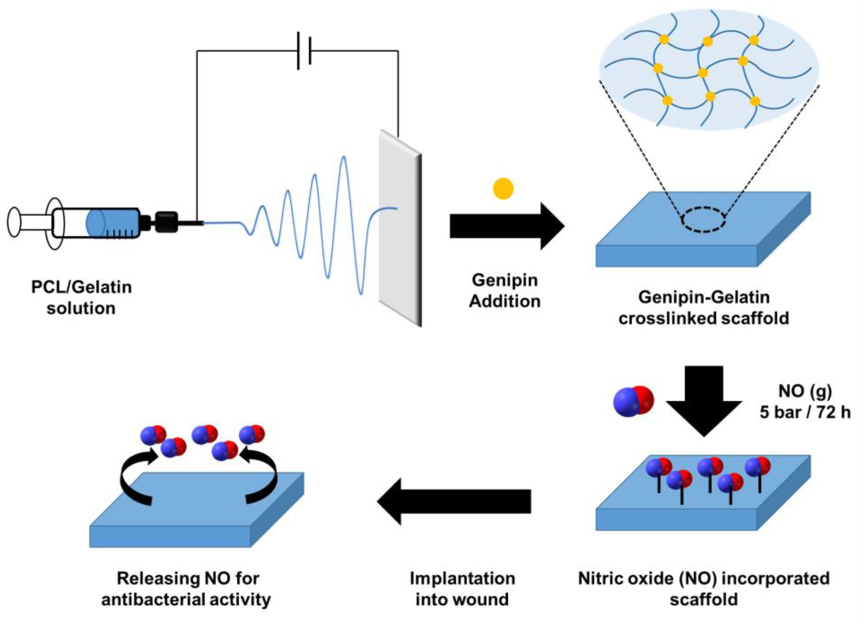 Pharmaceutics 15 01522 g020