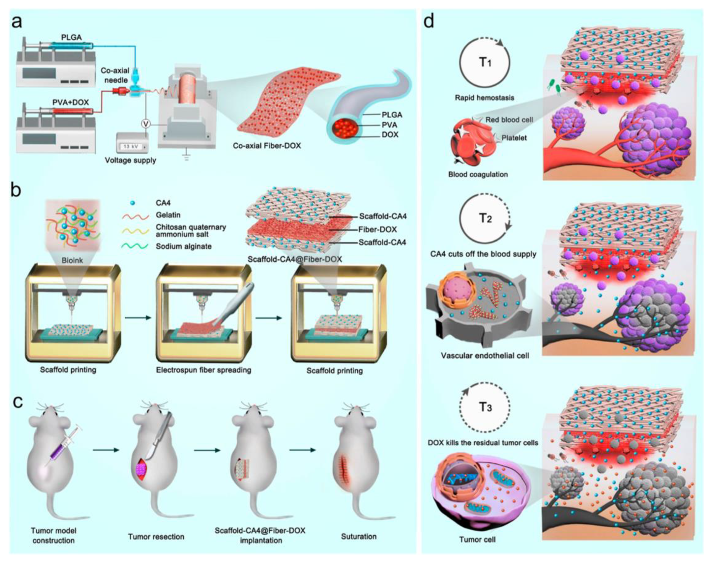 Pharmaceutics 15 01522 g021