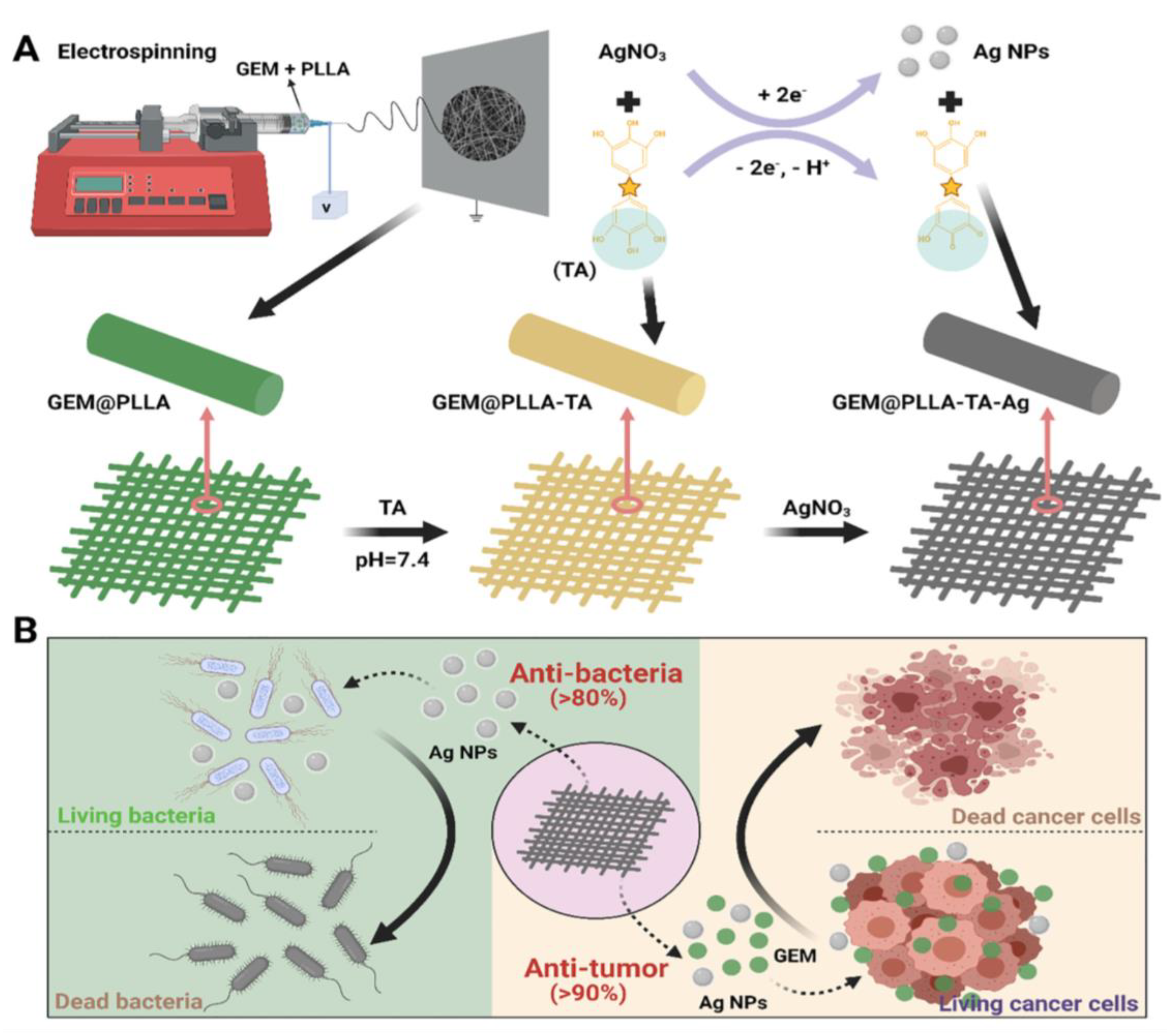 Pharmaceutics 15 01522 g022