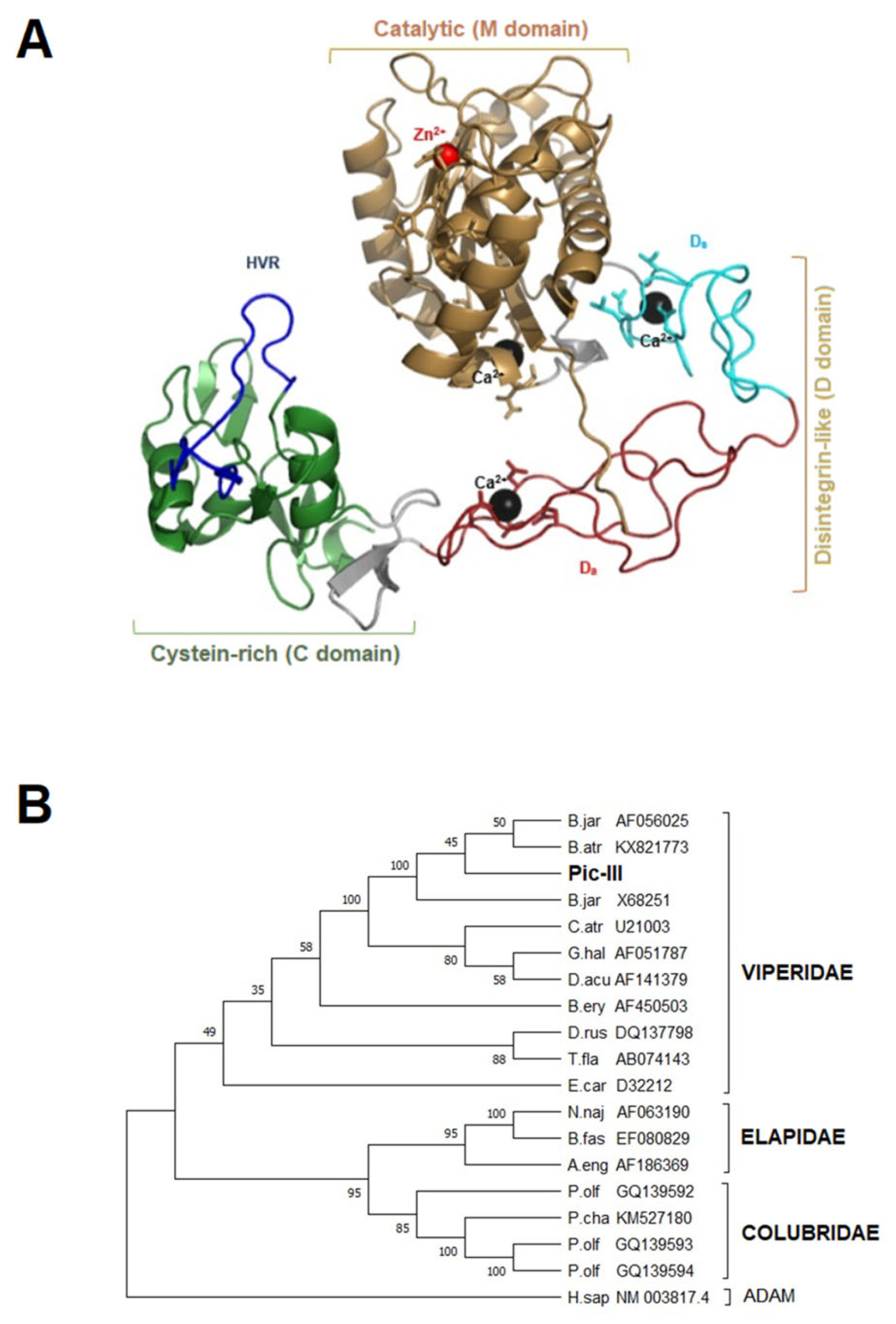 Pharmaceutics 15 01533 g006 Pharmaceutics 15 01533 g006