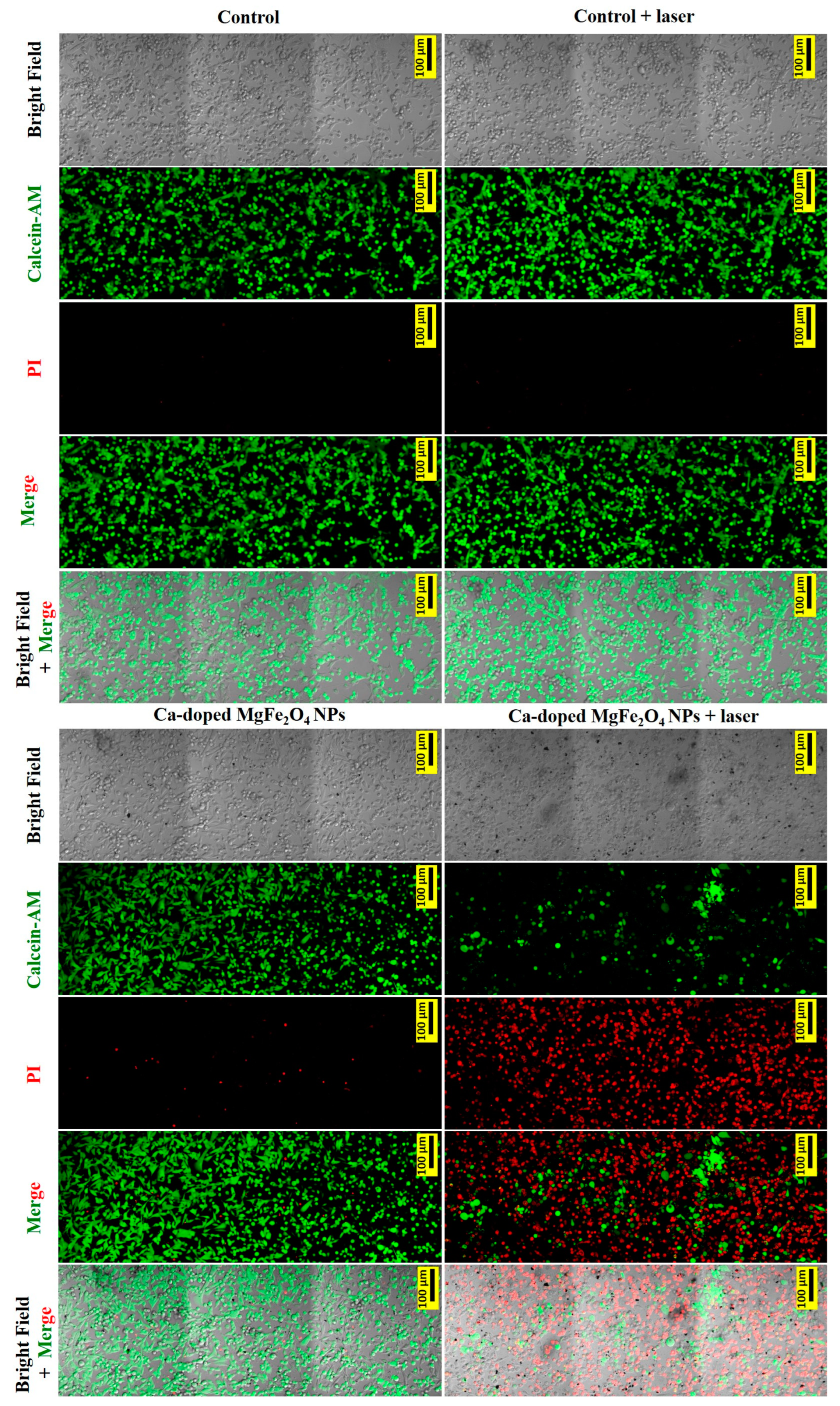 Pharmaceutics 15 01555 g005
