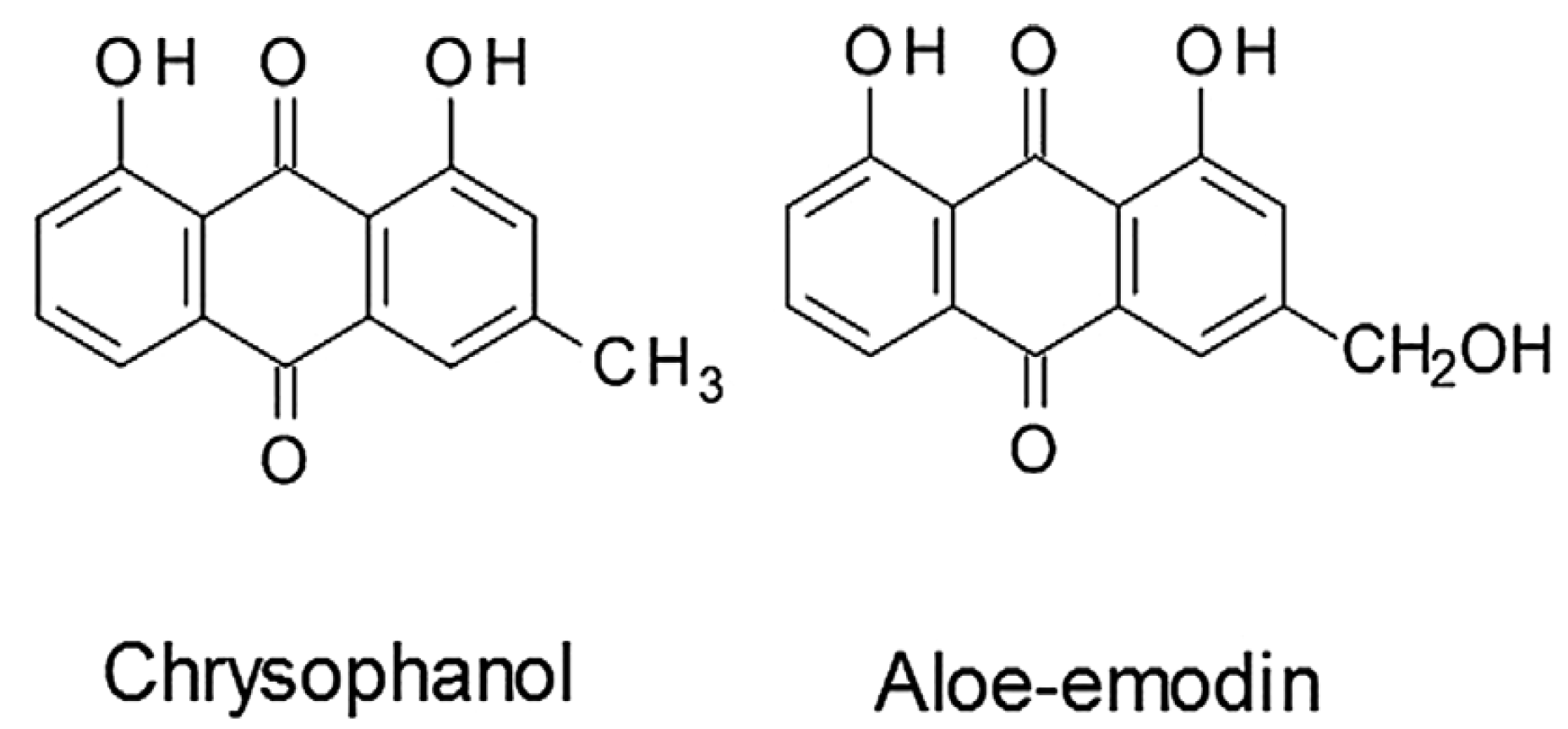 Pharmaceutics 15 01558 g004