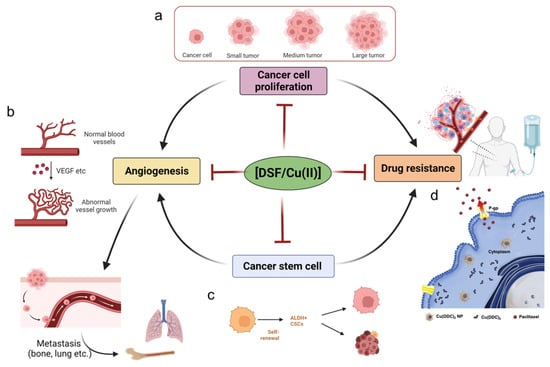 Pharmaceutics 15 01567 g003