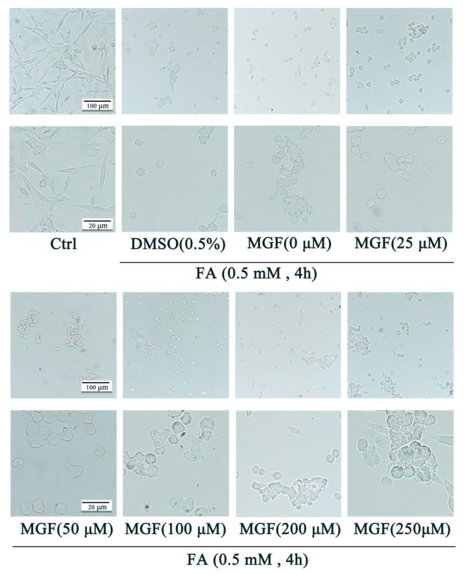 Pharmaceutics 15 01568 g002