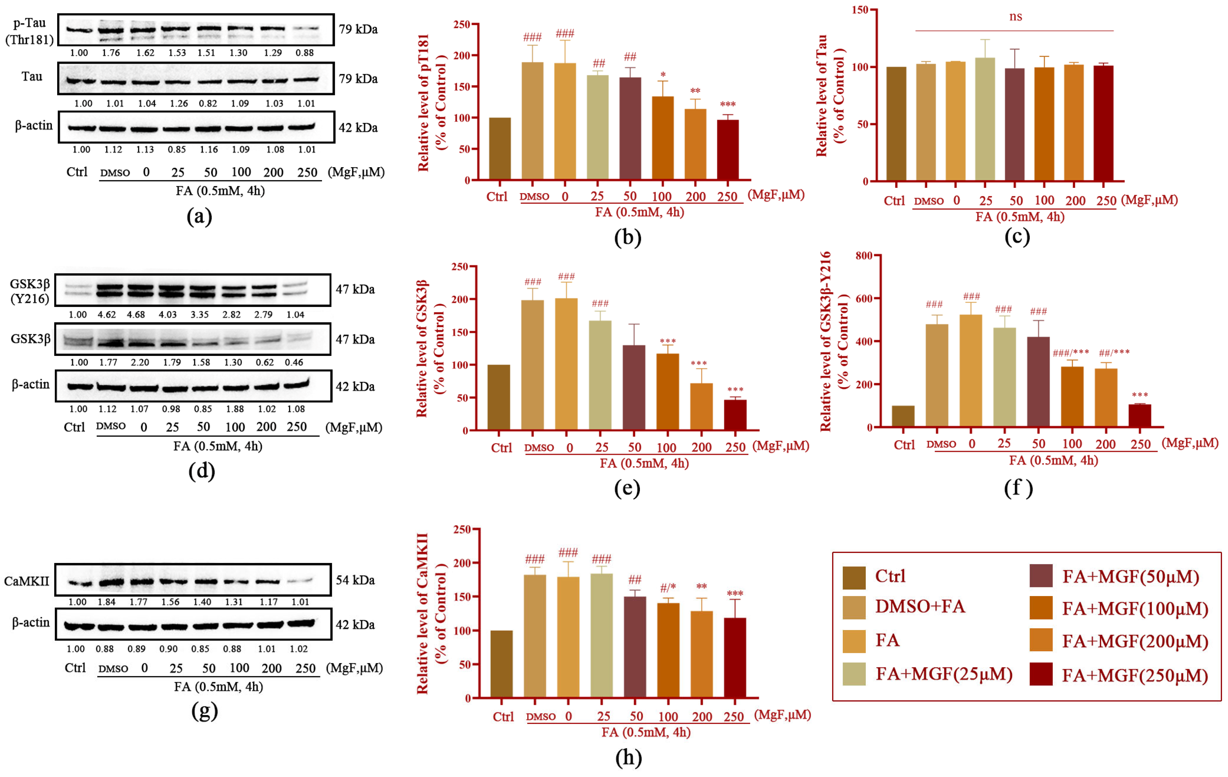 Pharmaceutics 15 01568 g003