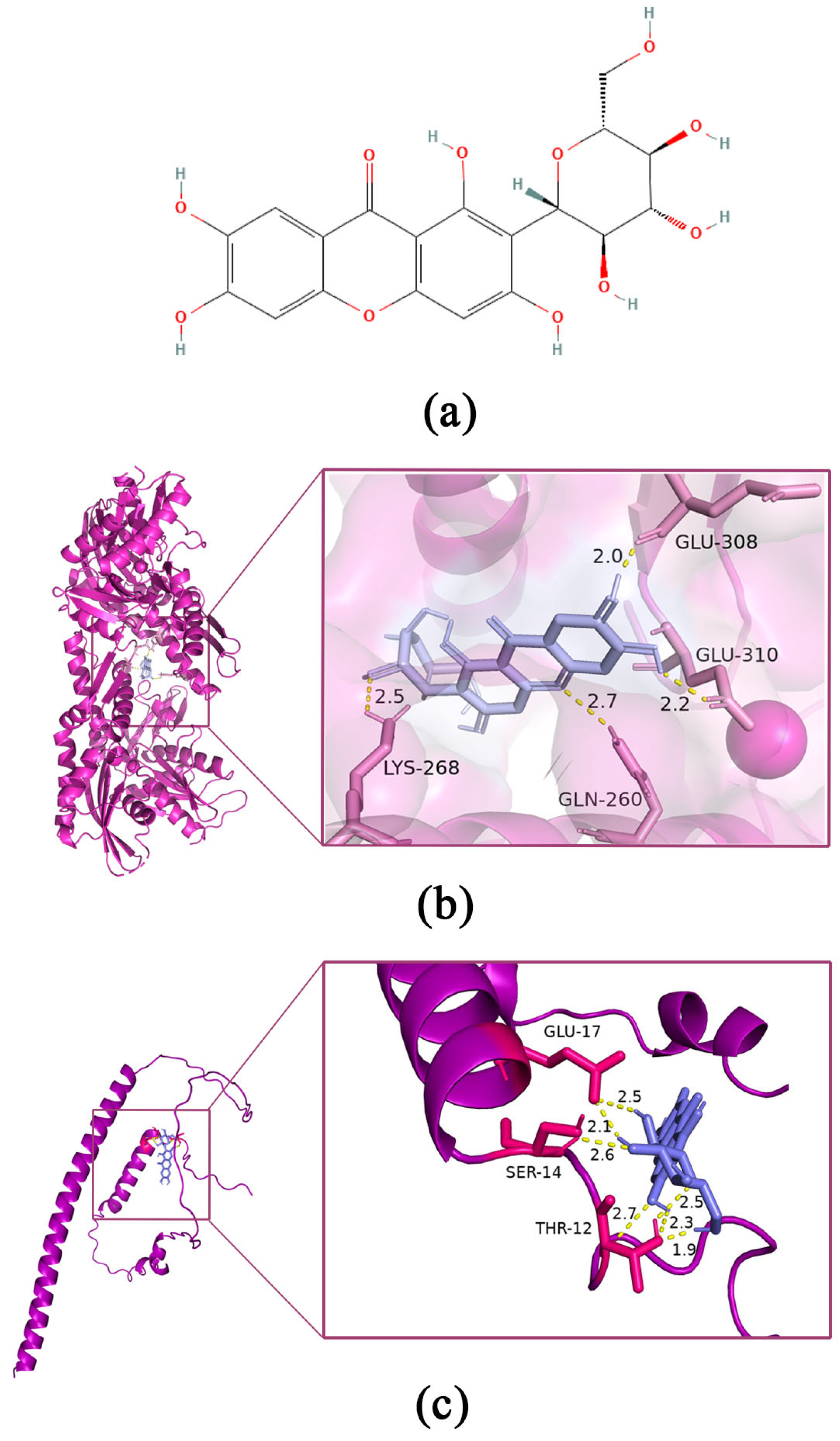 Pharmaceutics 15 01568 g004