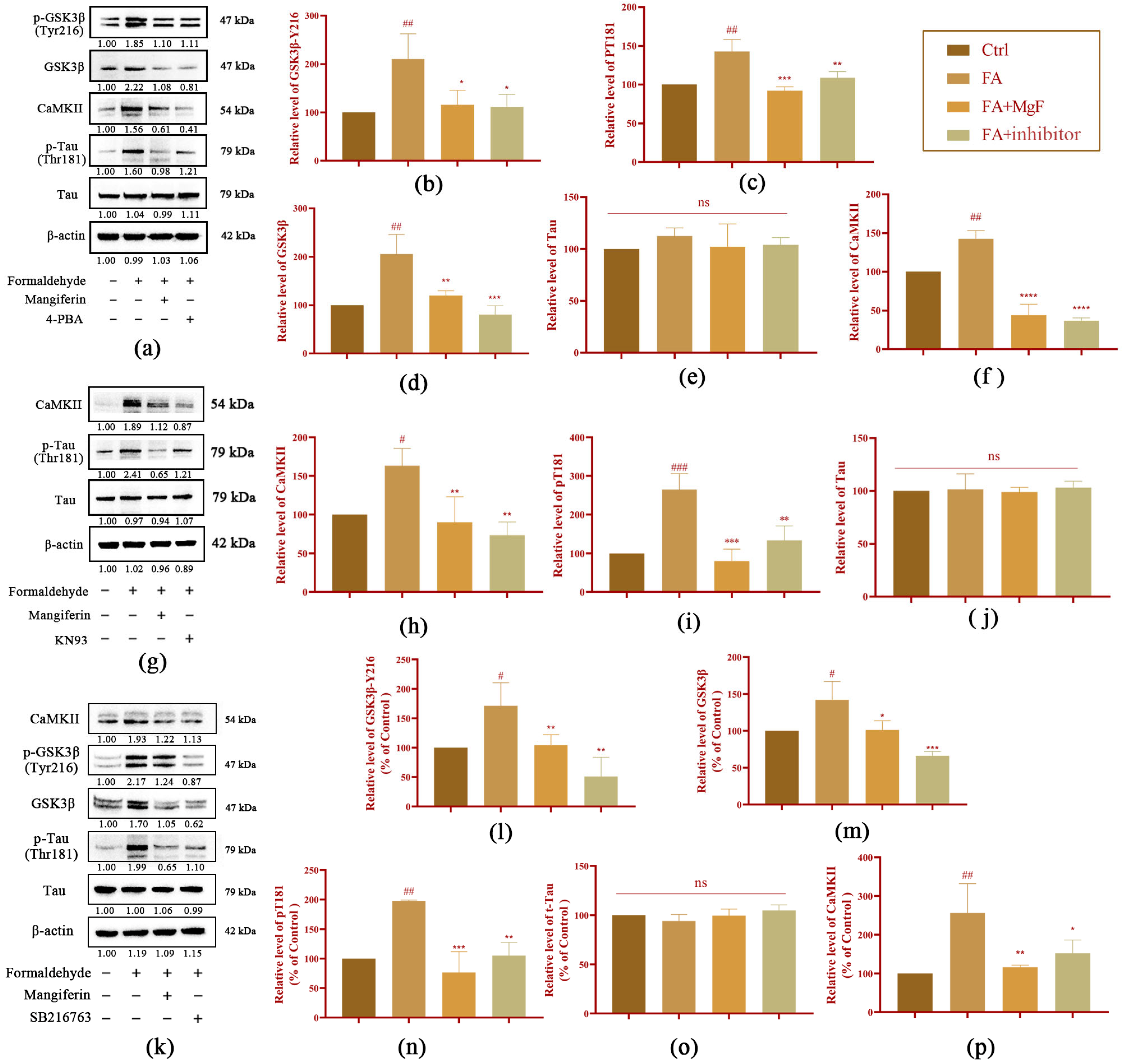 Pharmaceutics 15 01568 g006