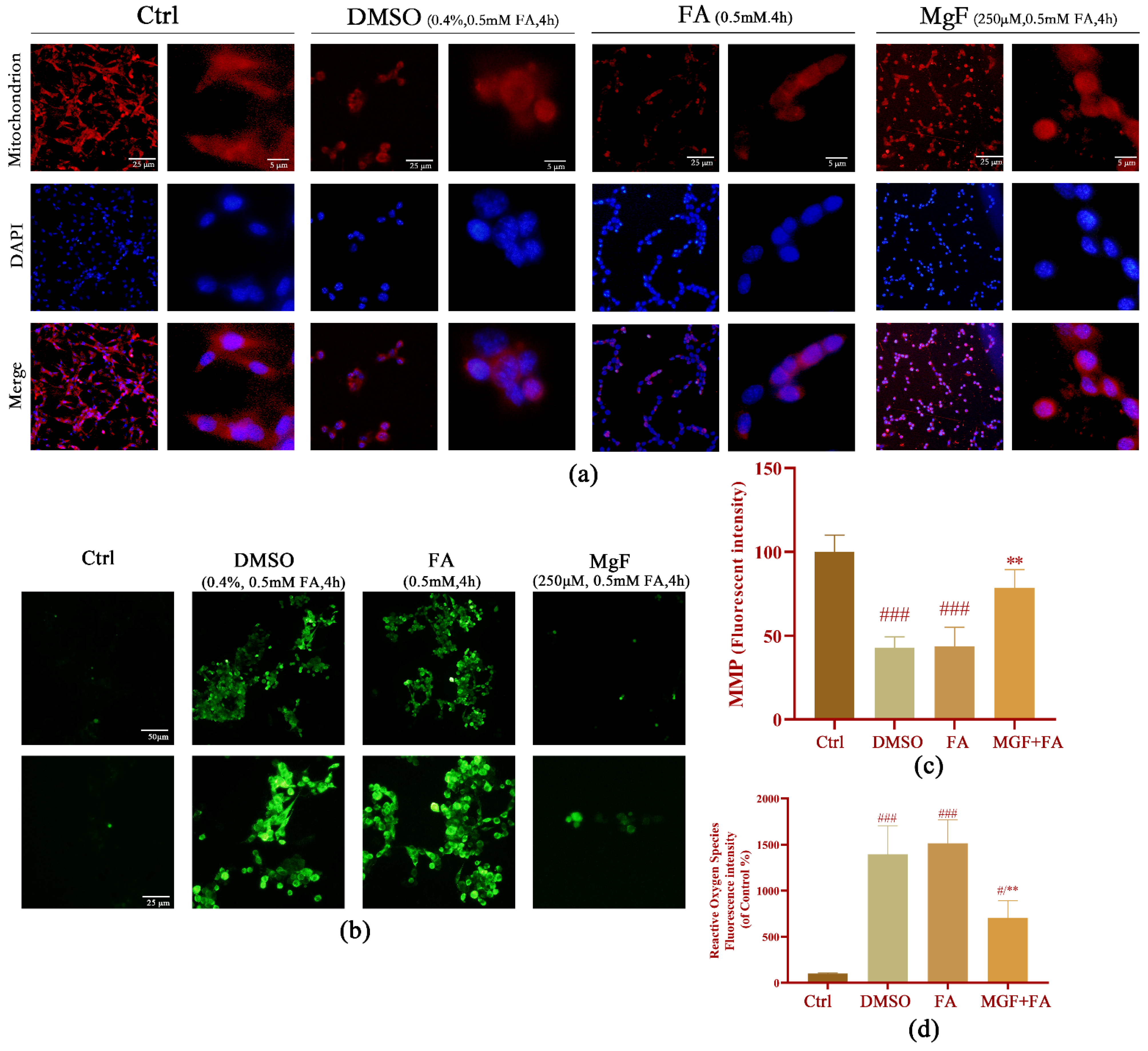Pharmaceutics 15 01568 g007