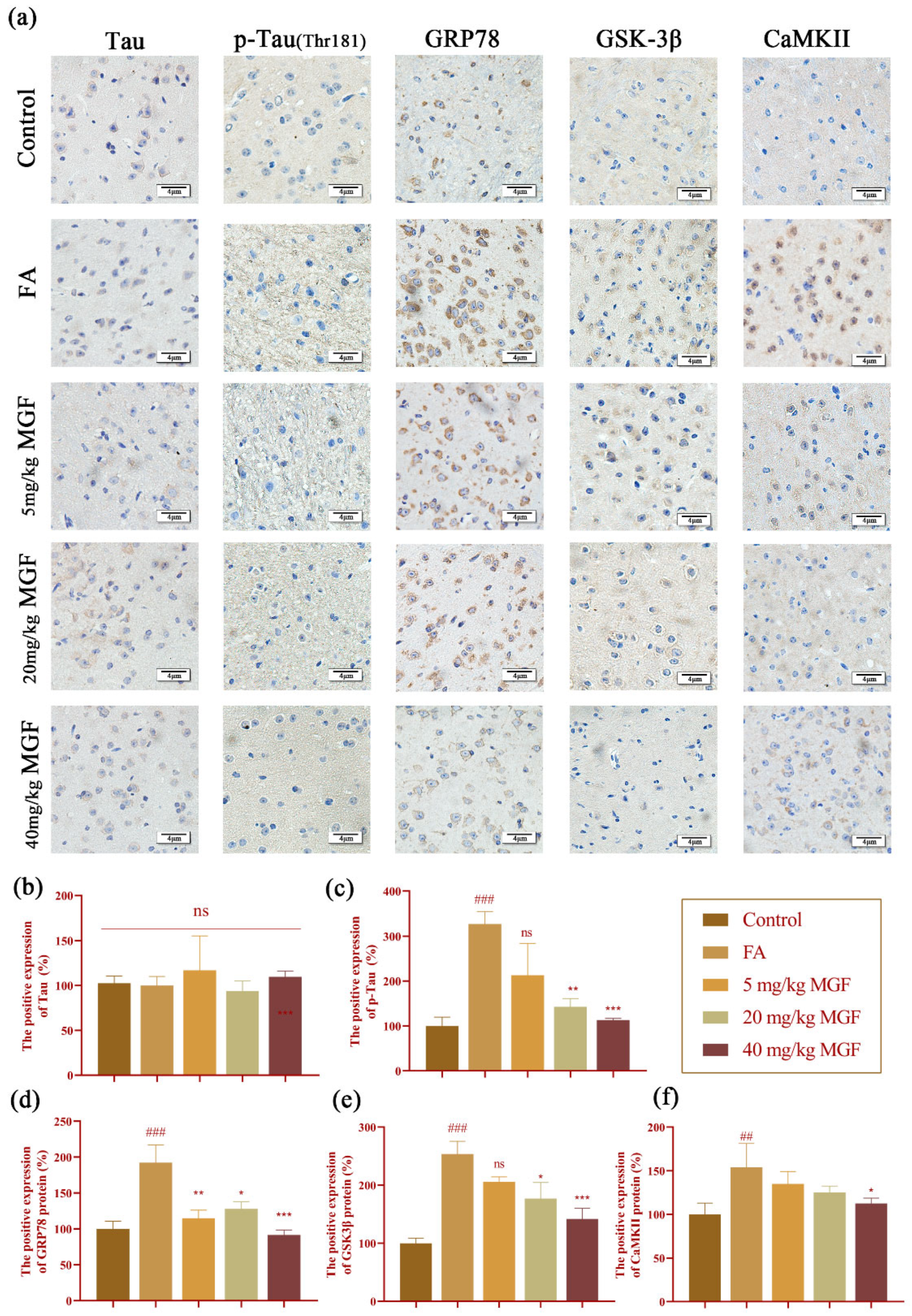 Pharmaceutics 15 01568 g010