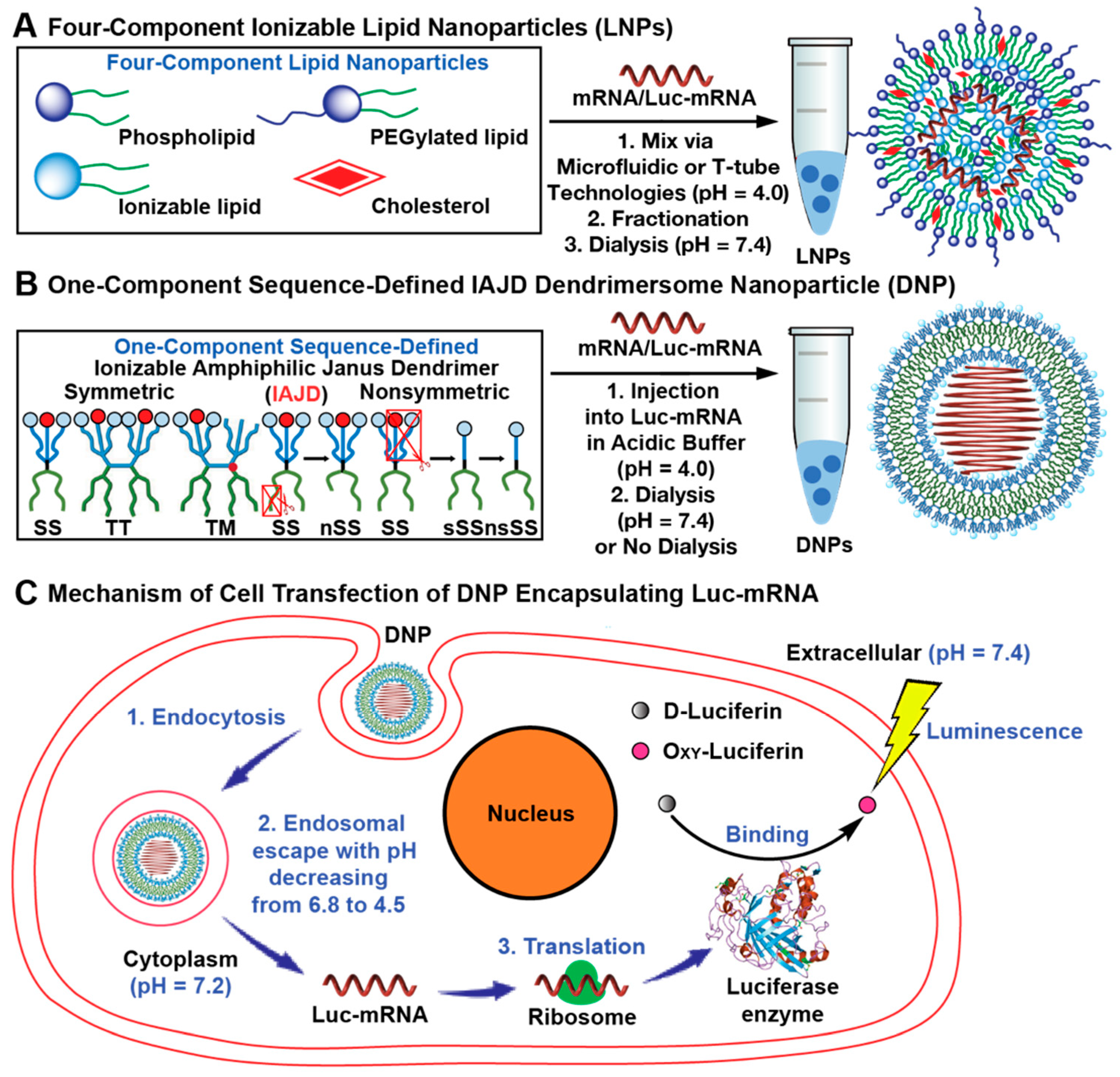 Pharmaceutics 15 01572 g001