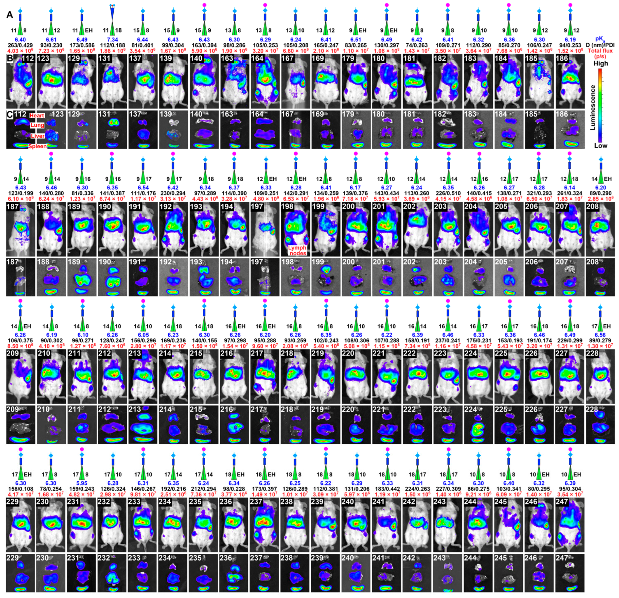 Pharmaceutics 15 01572 g004