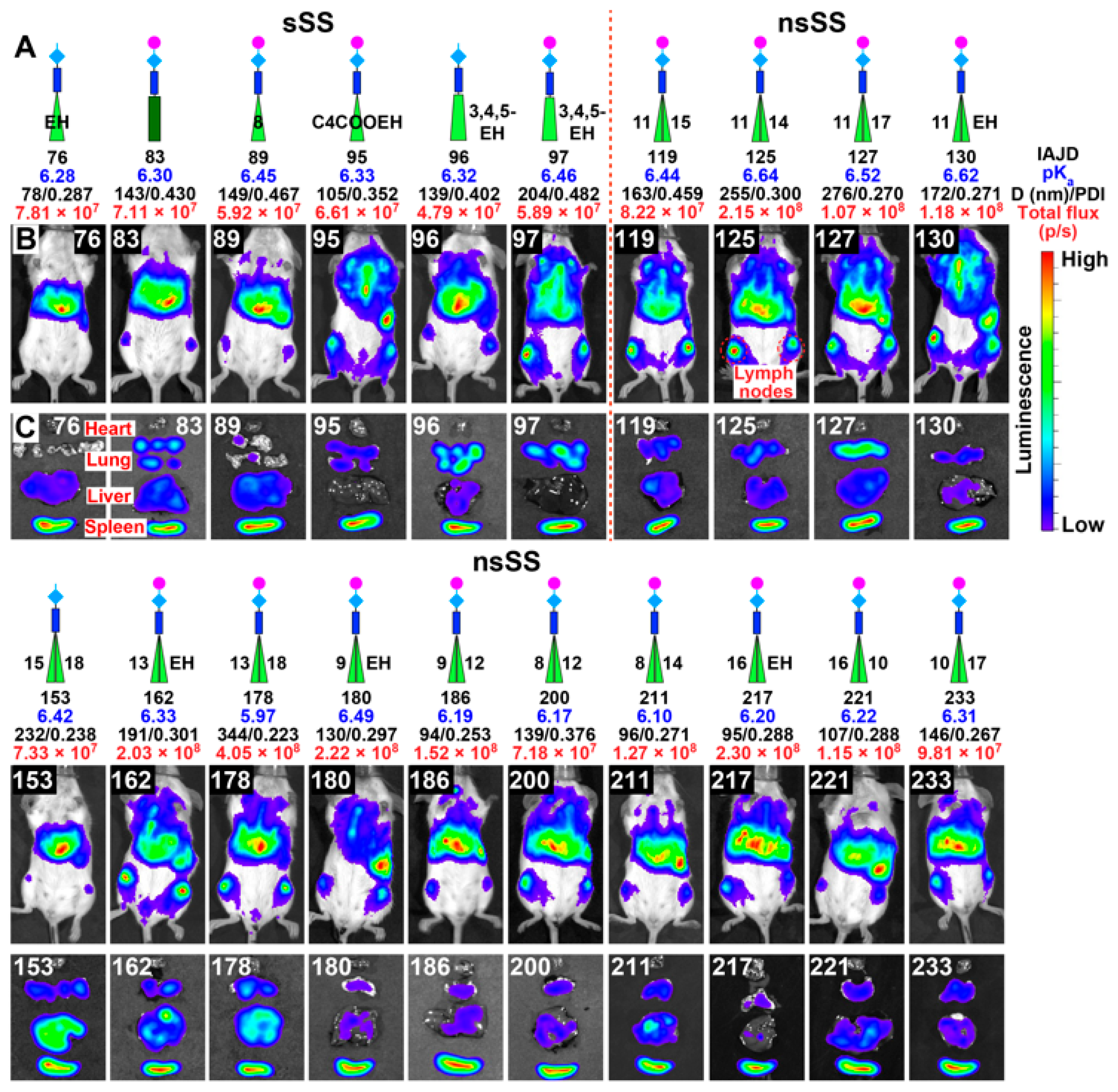 Pharmaceutics 15 01572 g006