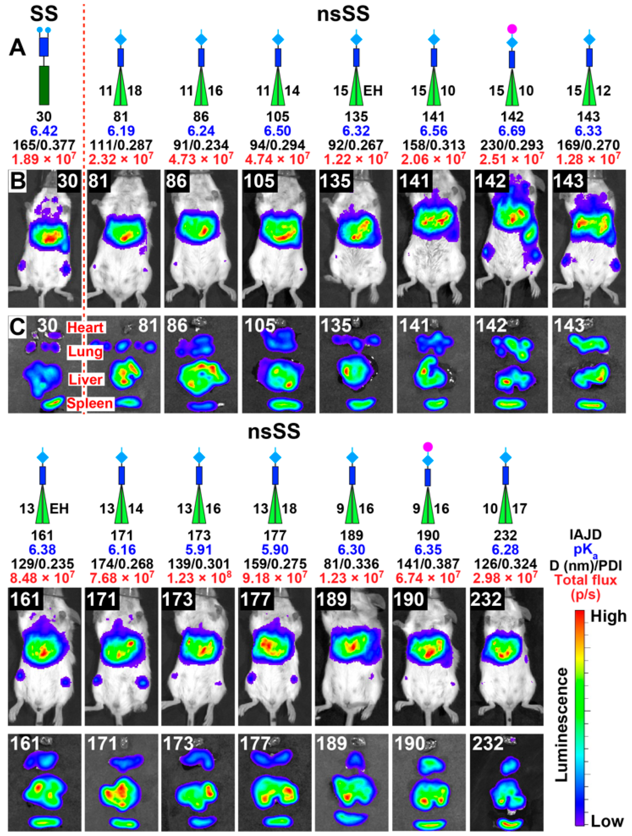 Pharmaceutics 15 01572 g008