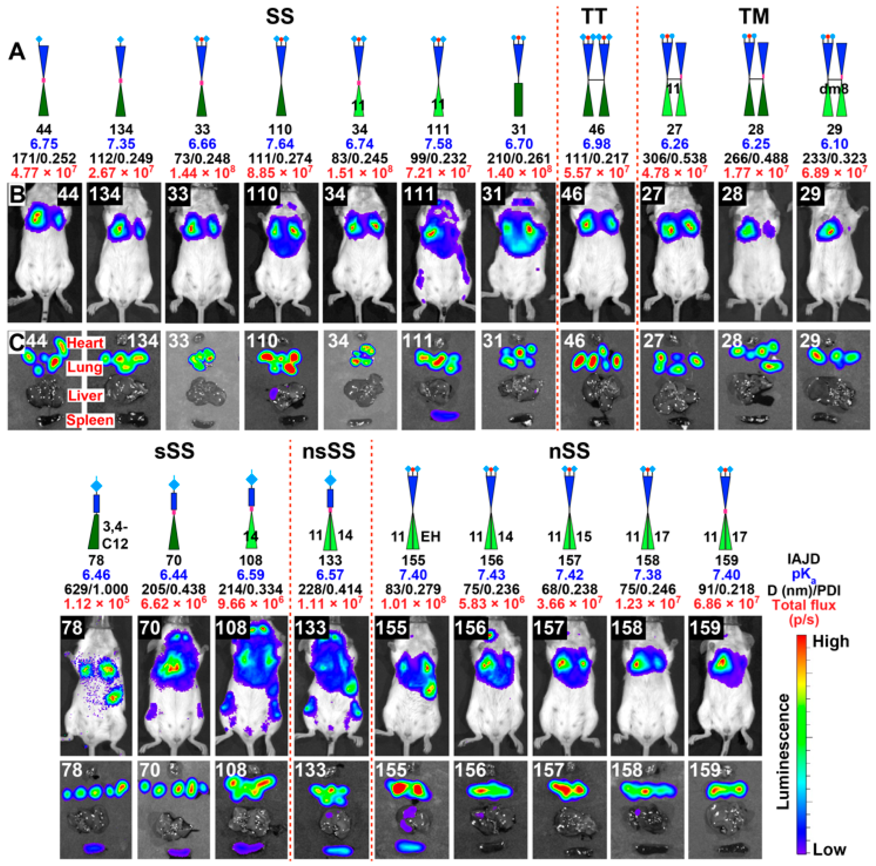 Pharmaceutics 15 01572 g011