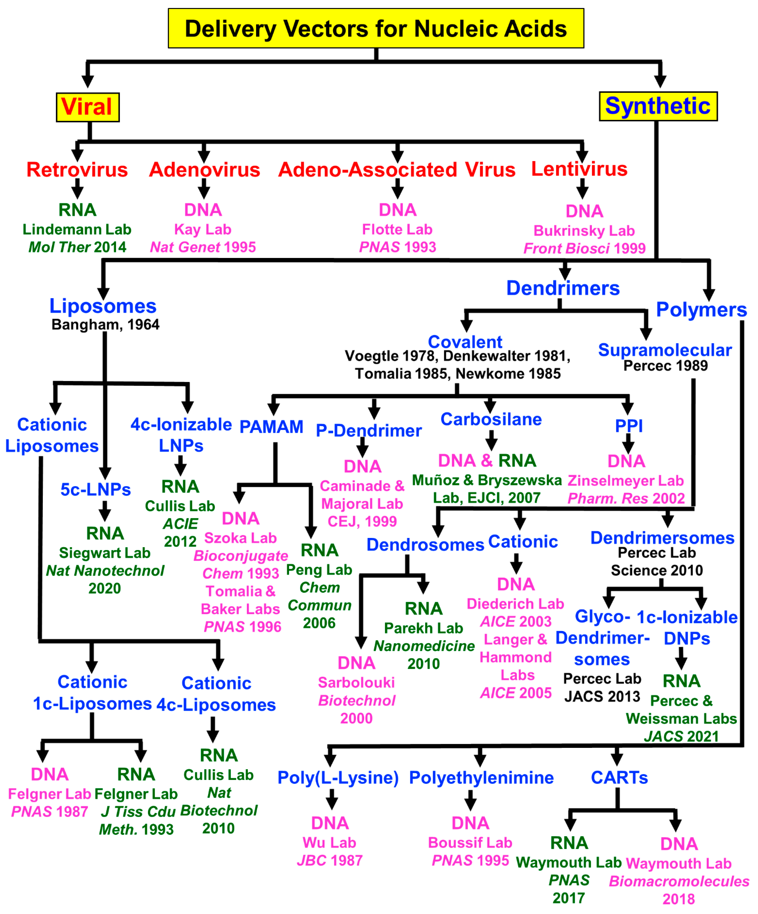Pharmaceutics 15 01572 g016