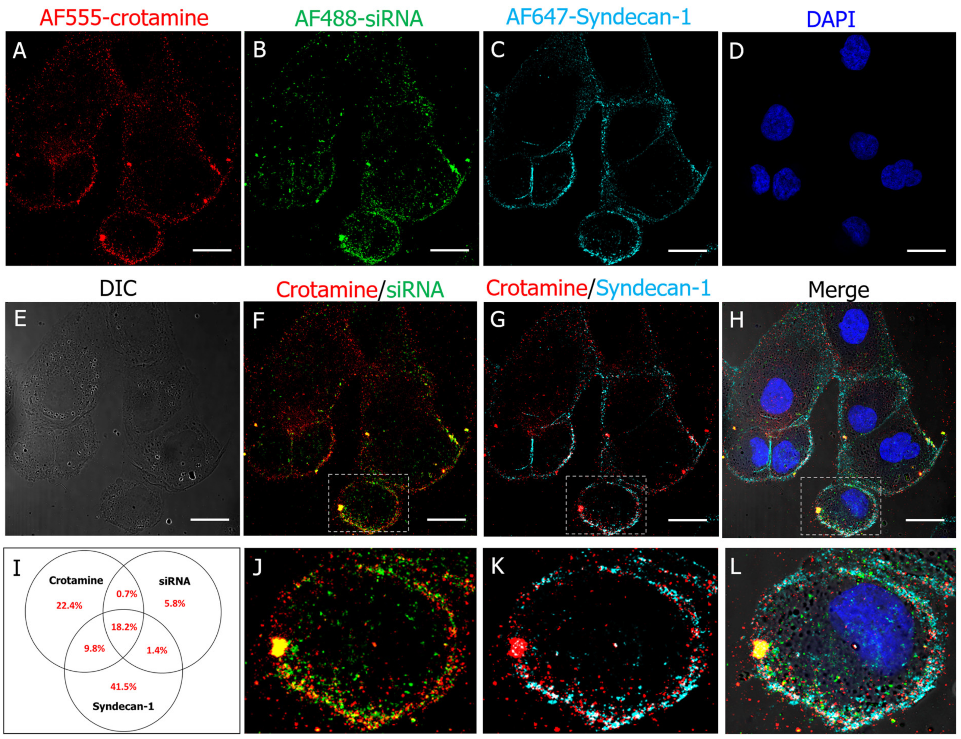 Pharmaceutics 15 01576 g004