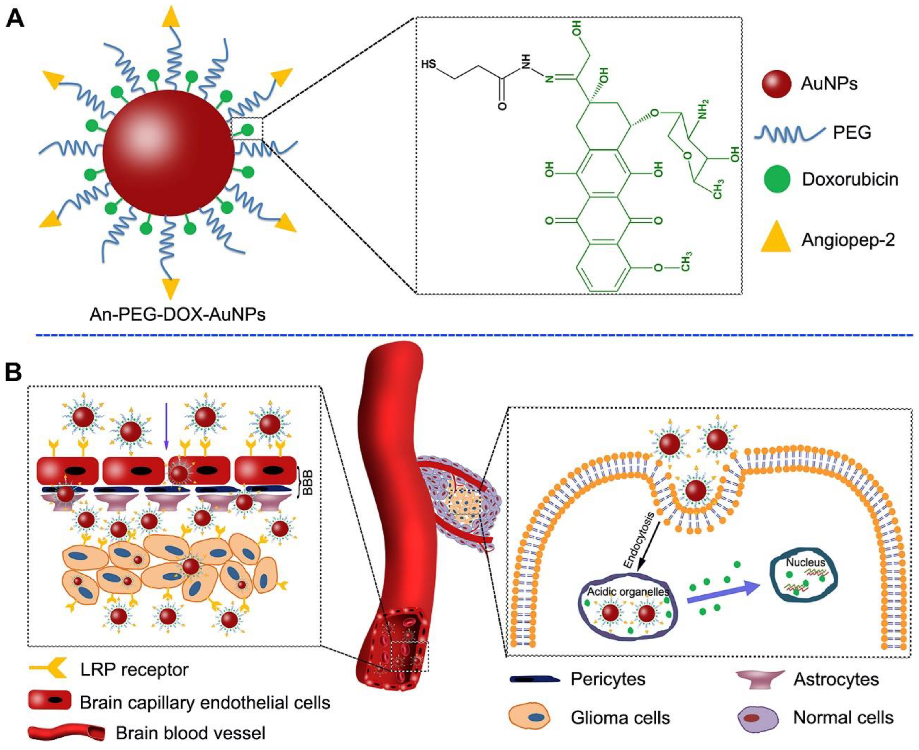 Pharmaceutics 15 01583 g001