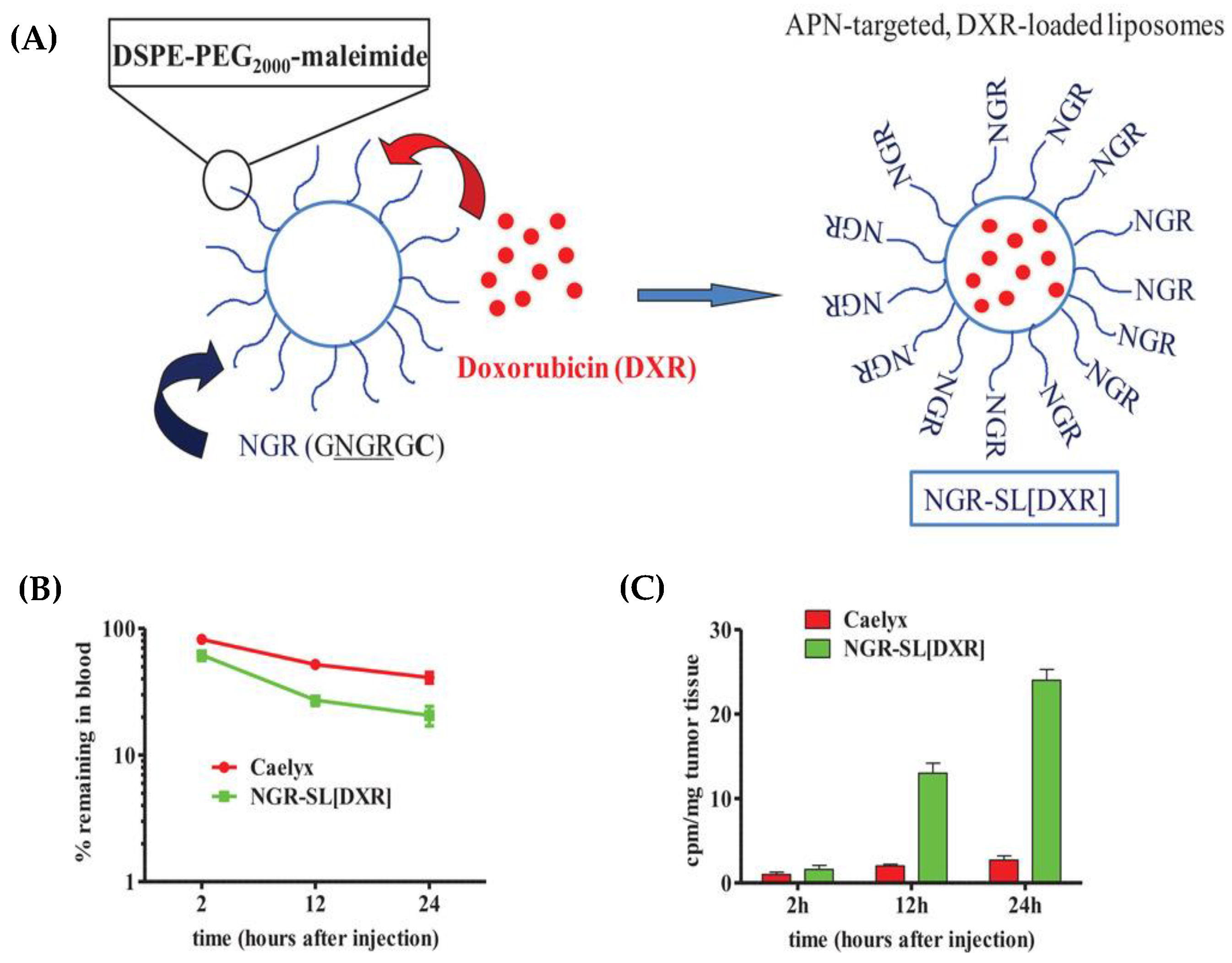 Pharmaceutics 15 01583 g002