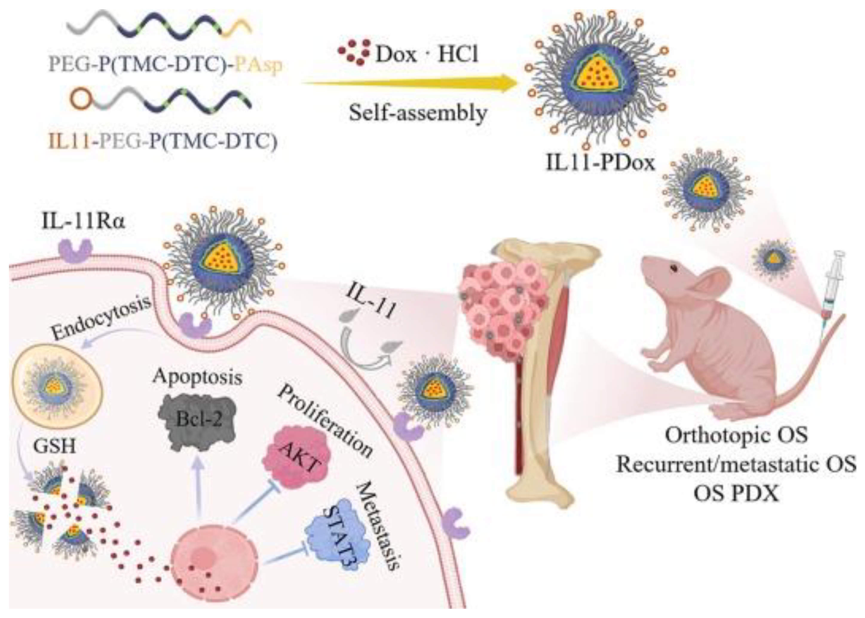 Pharmaceutics 15 01583 g003