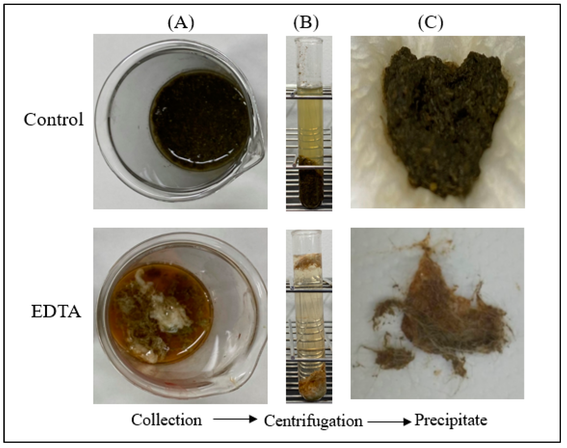 Pharmaceutics 15 01589 g004
