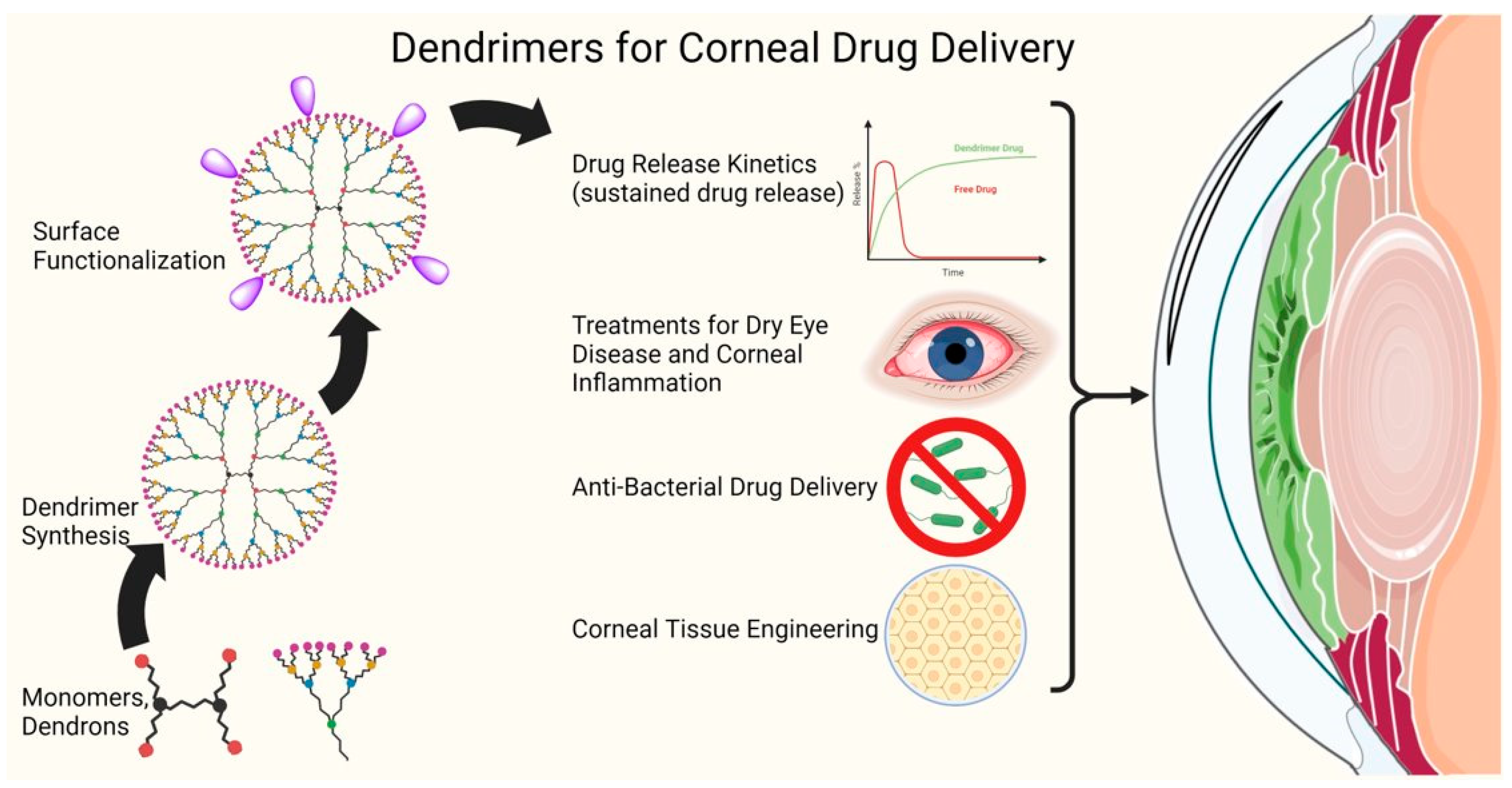 Pharmaceutics 15 01591 g001