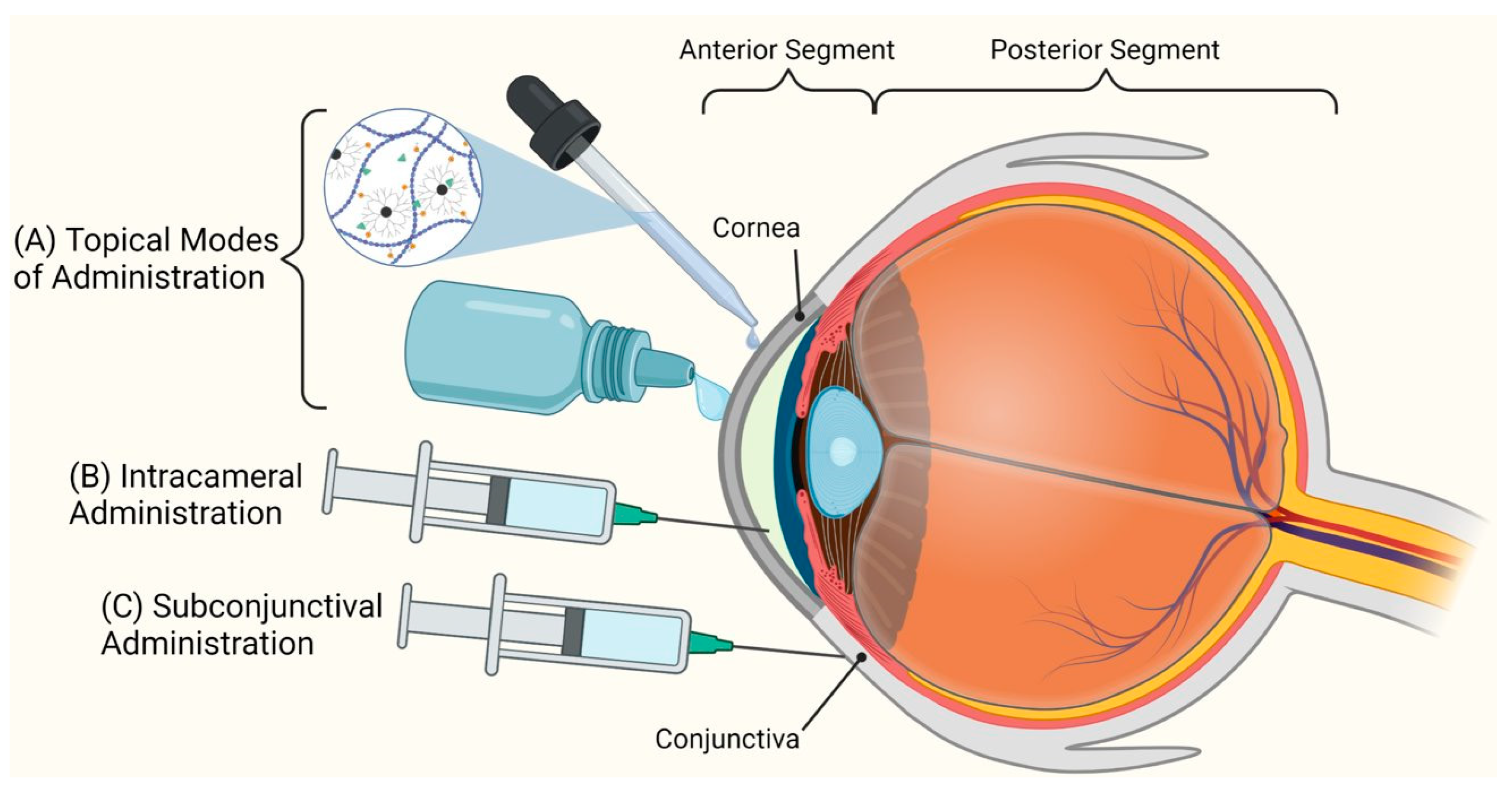 Pharmaceutics 15 01591 g004
