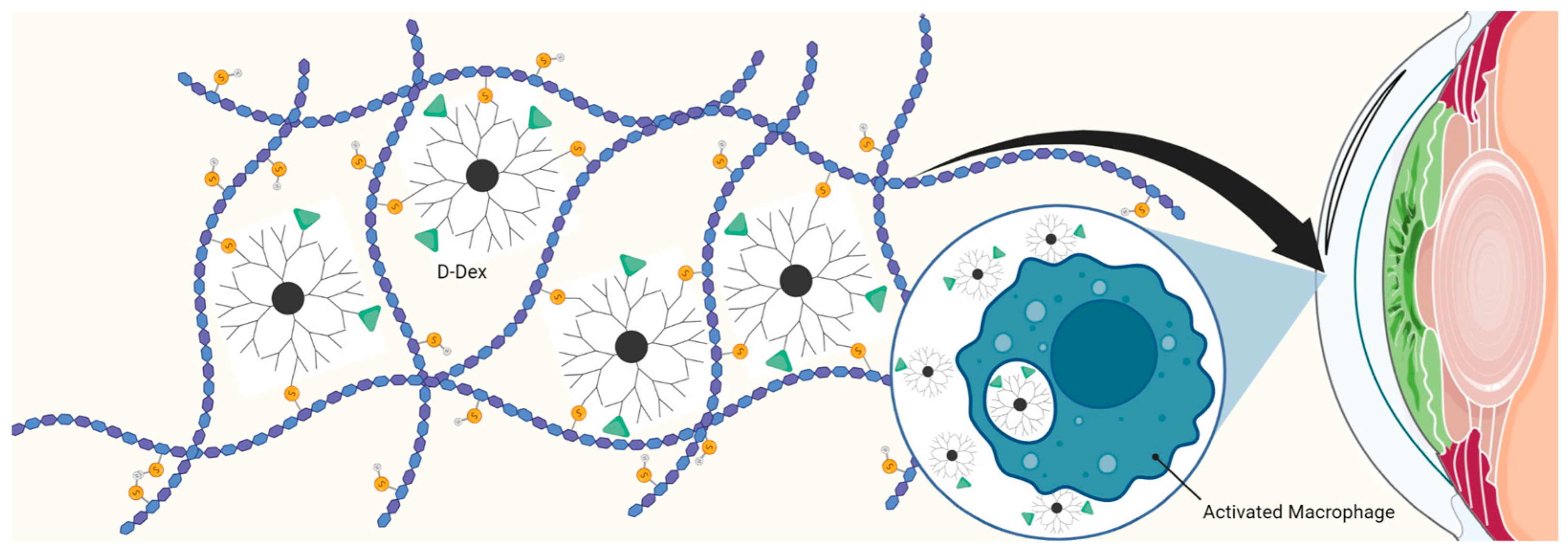 Pharmaceutics 15 01591 g006