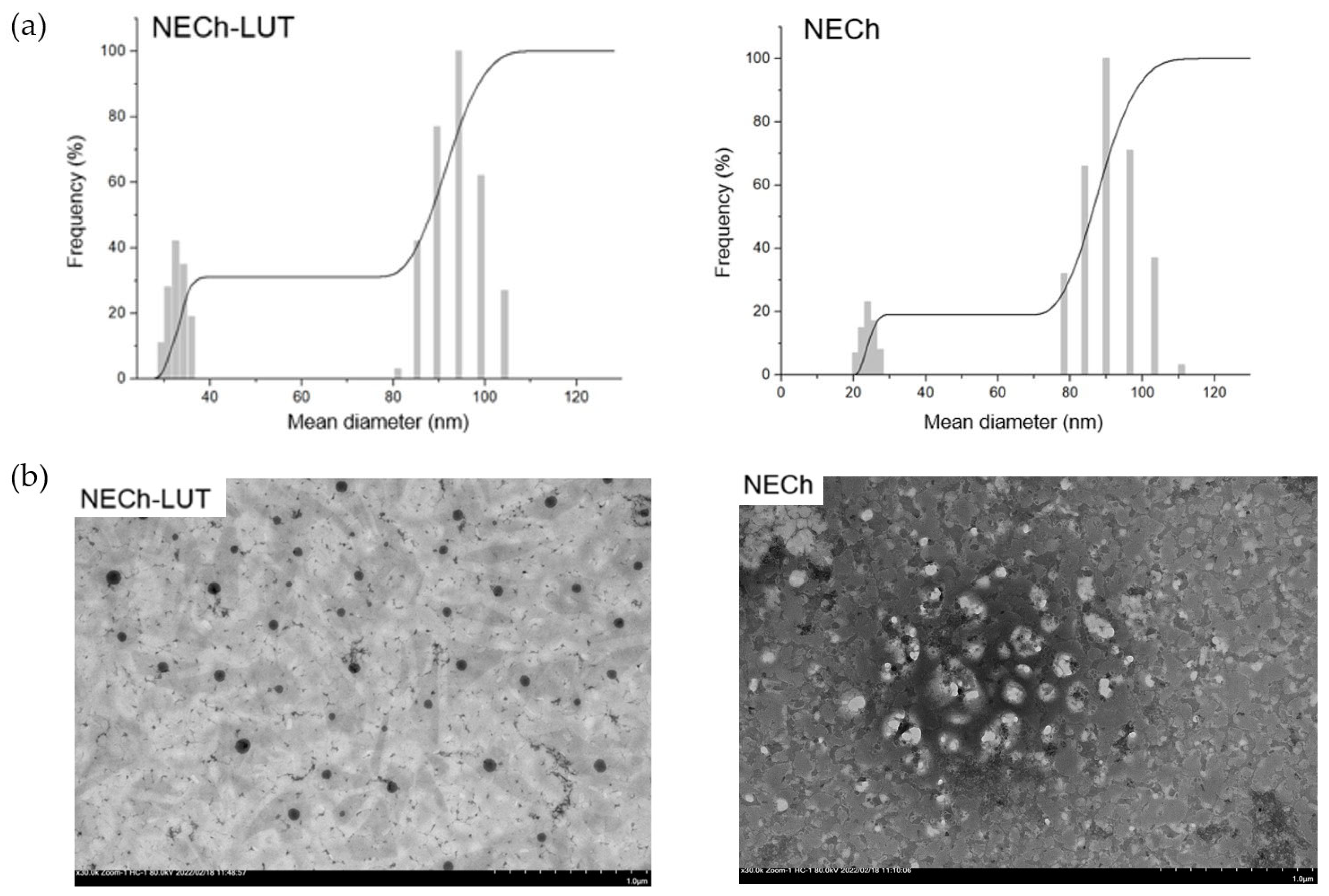 Pharmaceutics 15 01592 g003