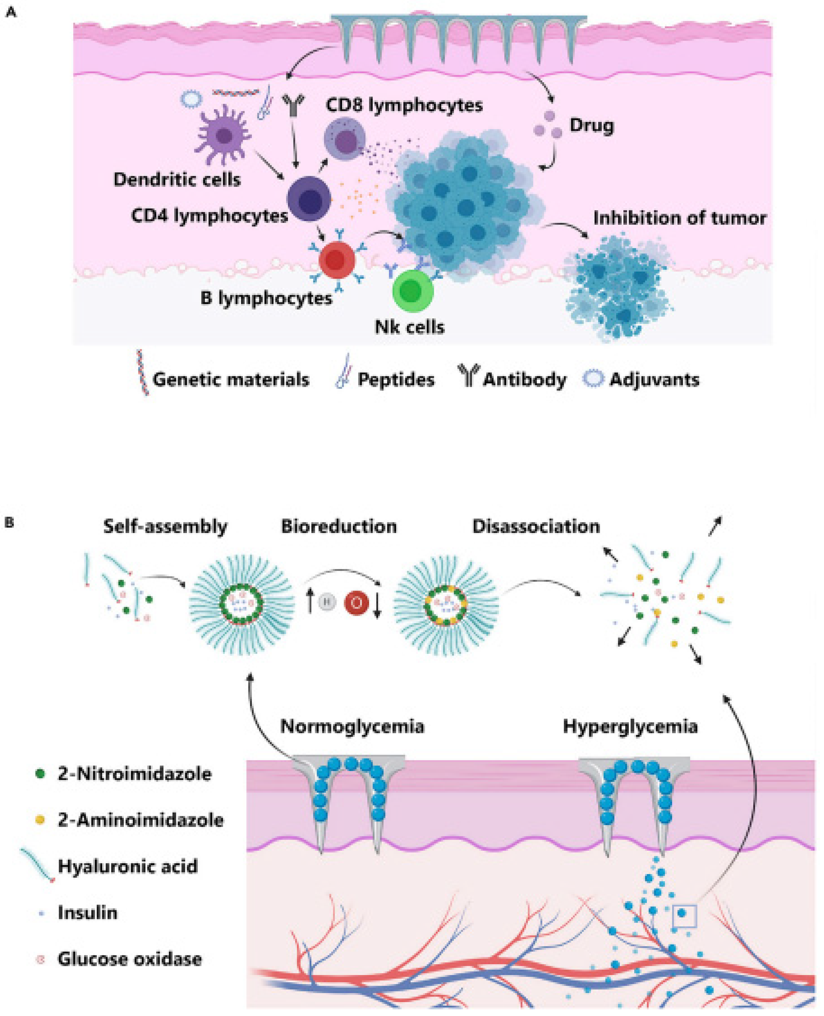 Pharmaceutics 15 01597 g013 Pharmaceutics 15 01597 g013