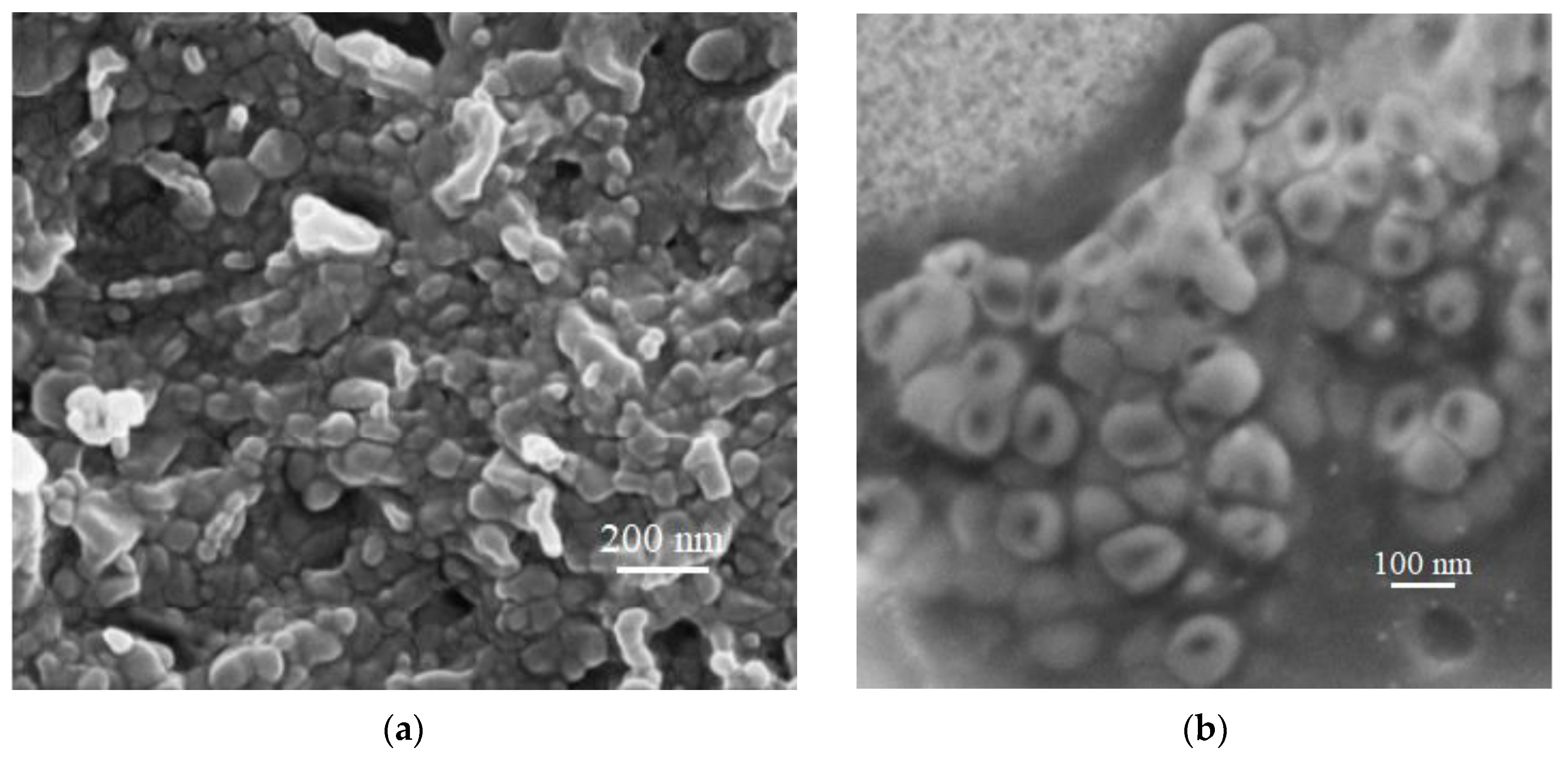 Pharmaceutics 15 01605 g001