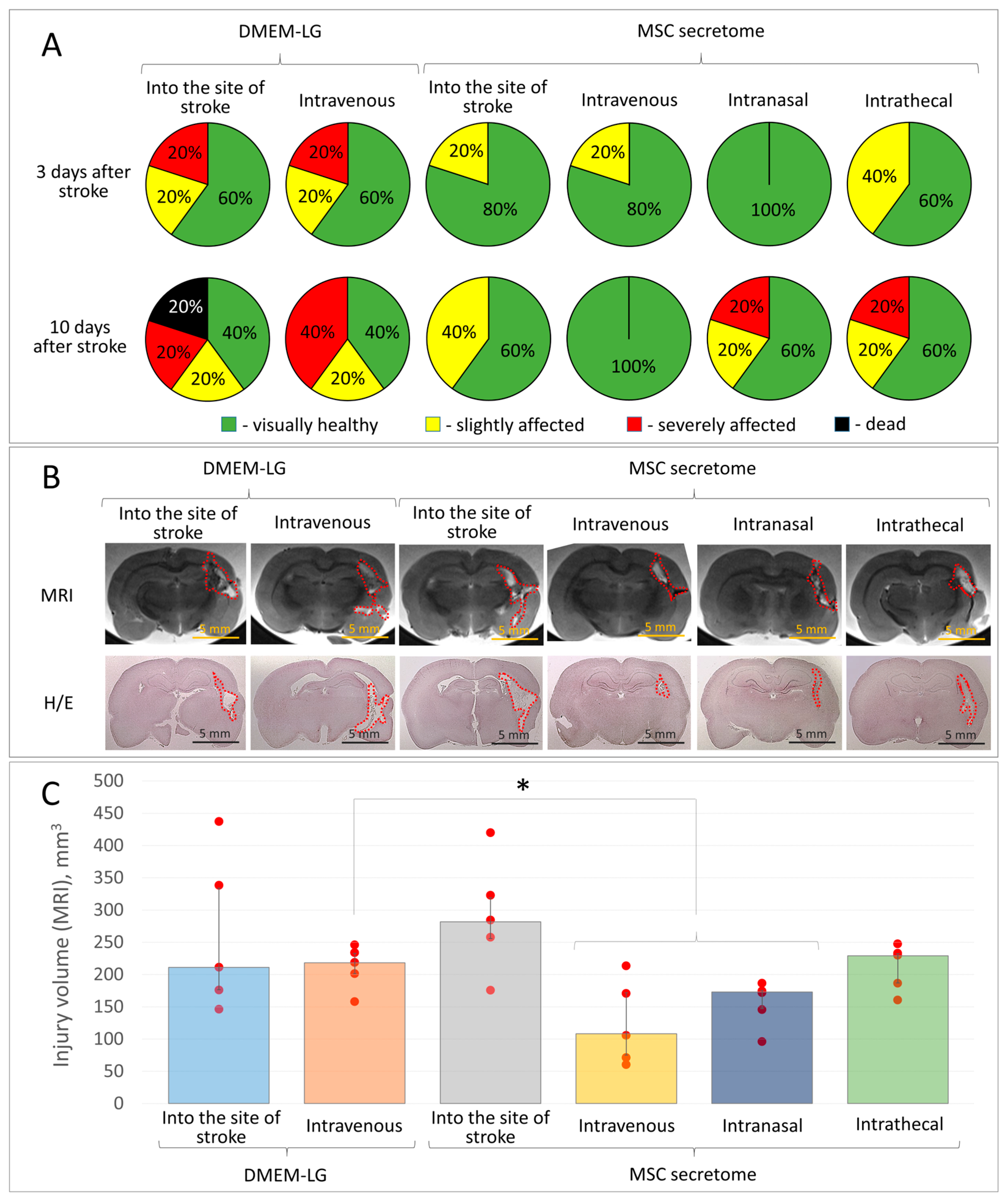 Pharmaceutics 15 01608 g001