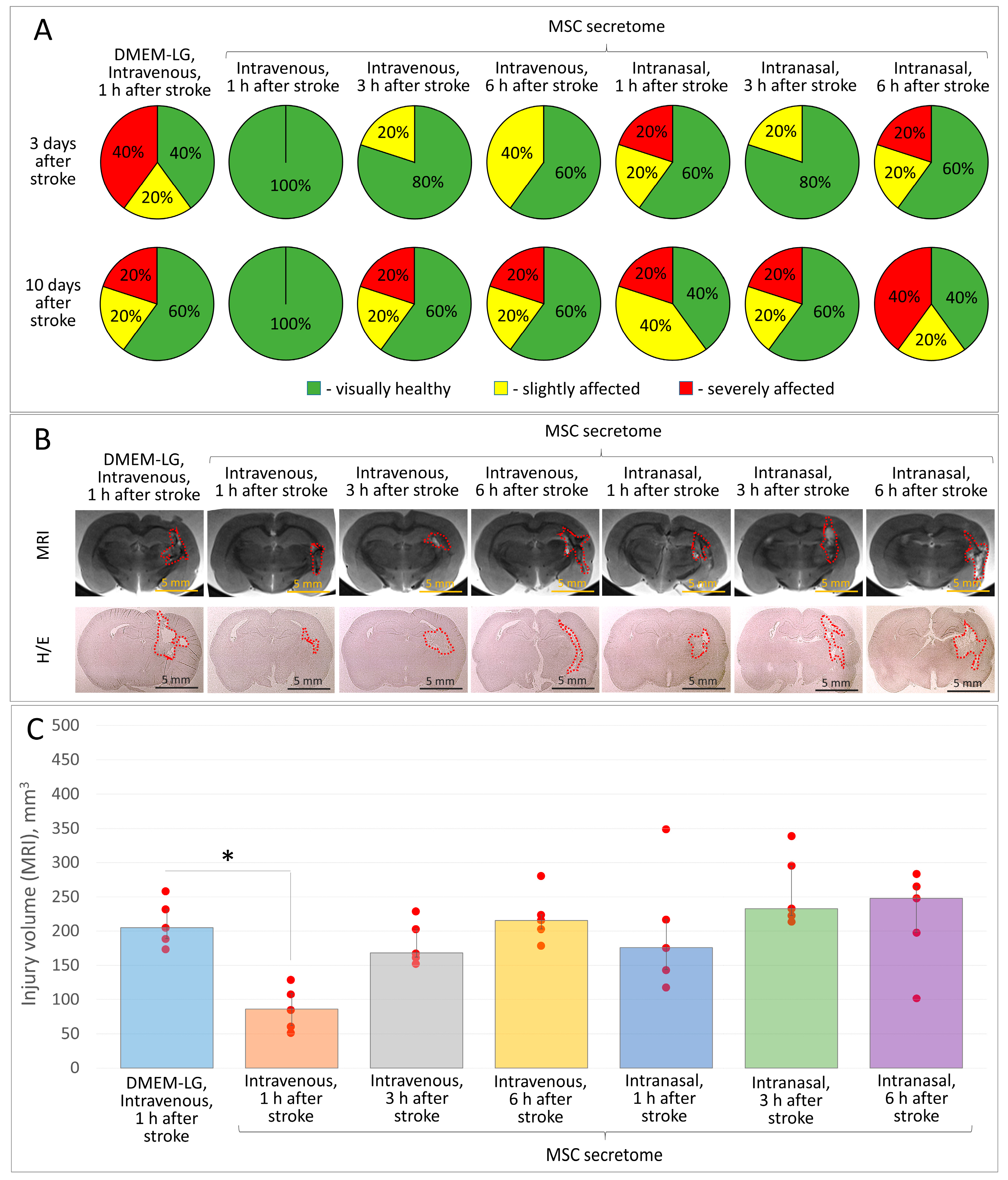 Pharmaceutics 15 01608 g002