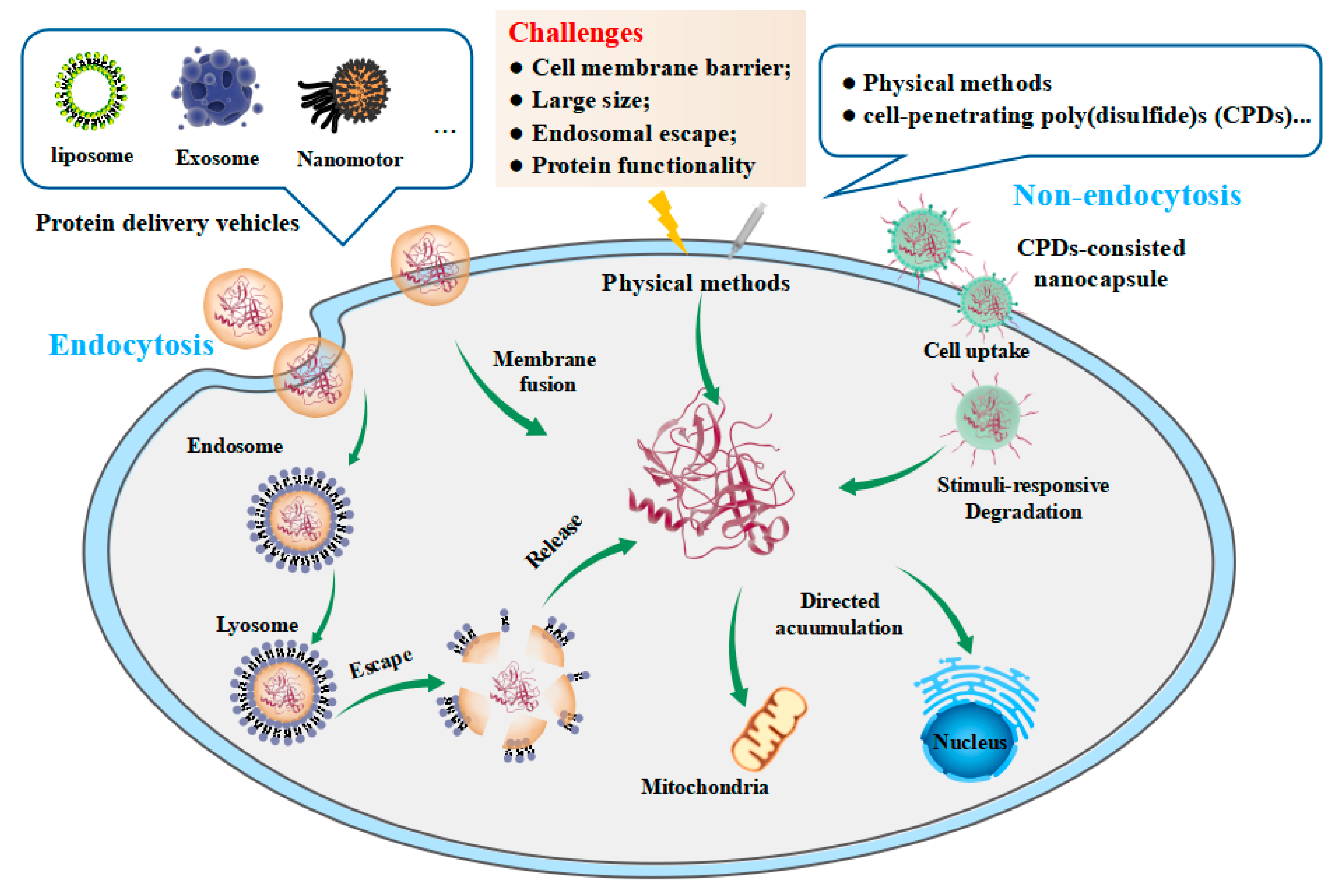 Pharmaceutics 15 01610 g001 Pharmaceutics 15 01610 g001